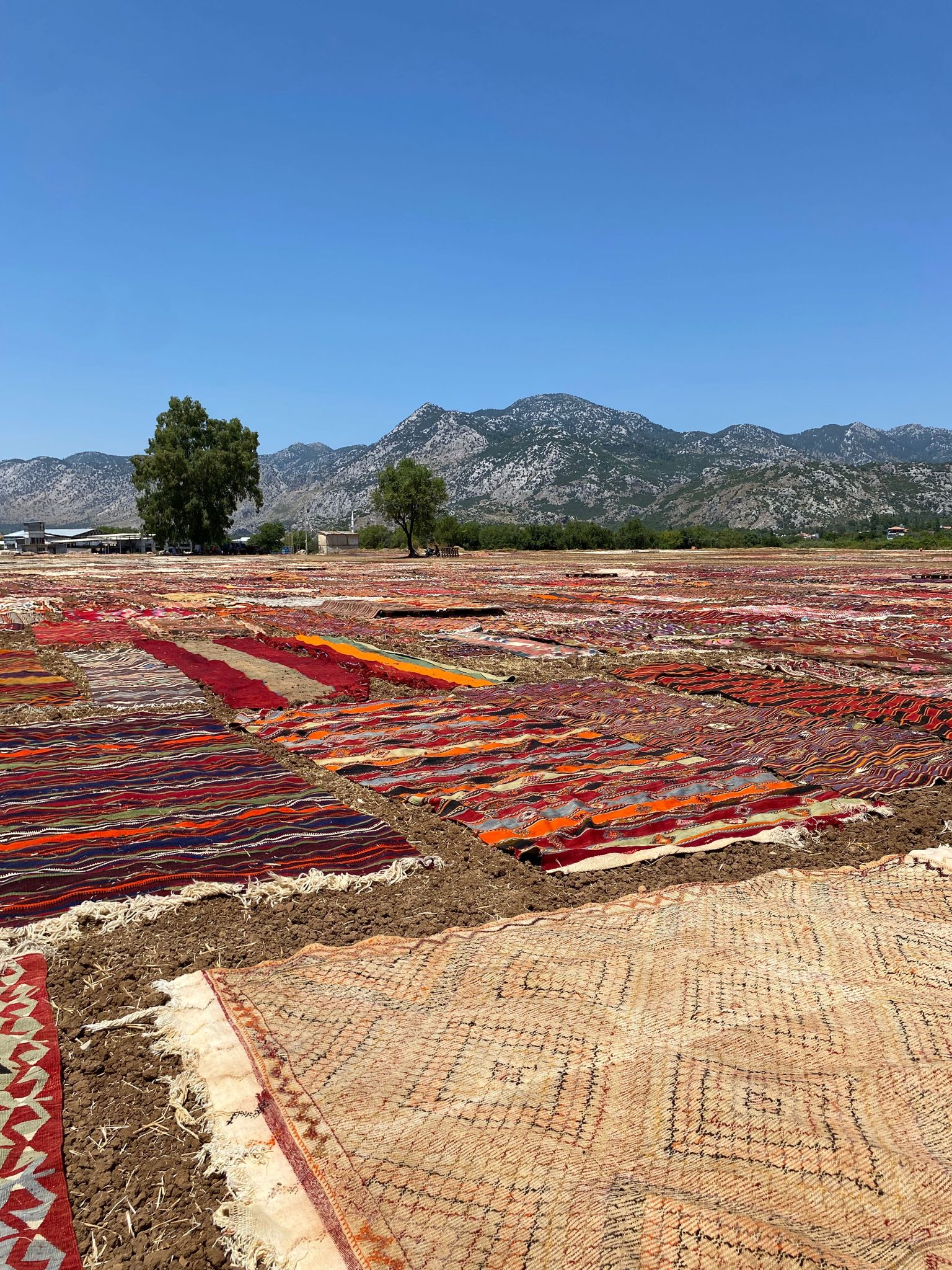 Gewebt vs. Geknüpft