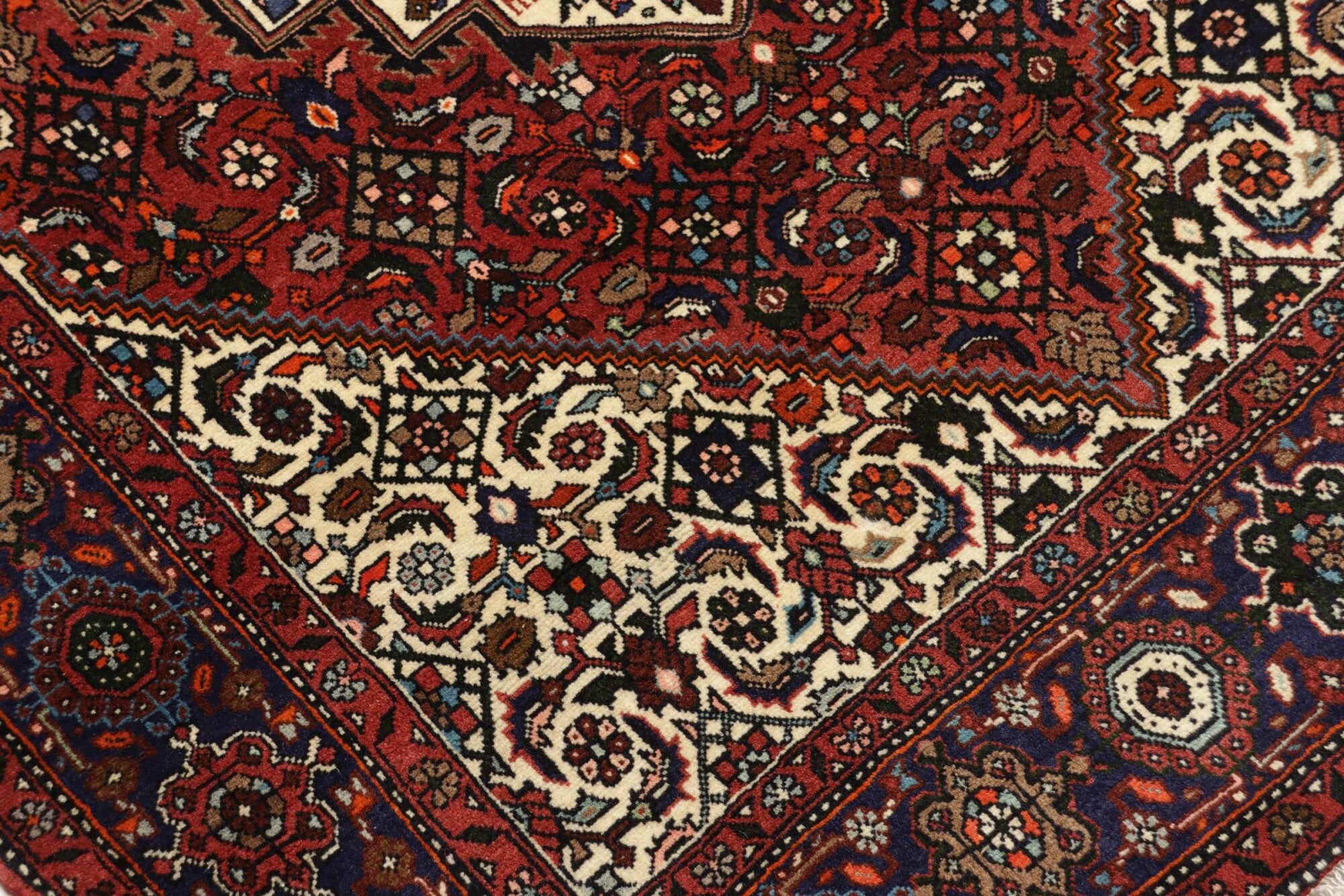 ゴルトグ | 188 x 125 cm | Nr. 12-178406