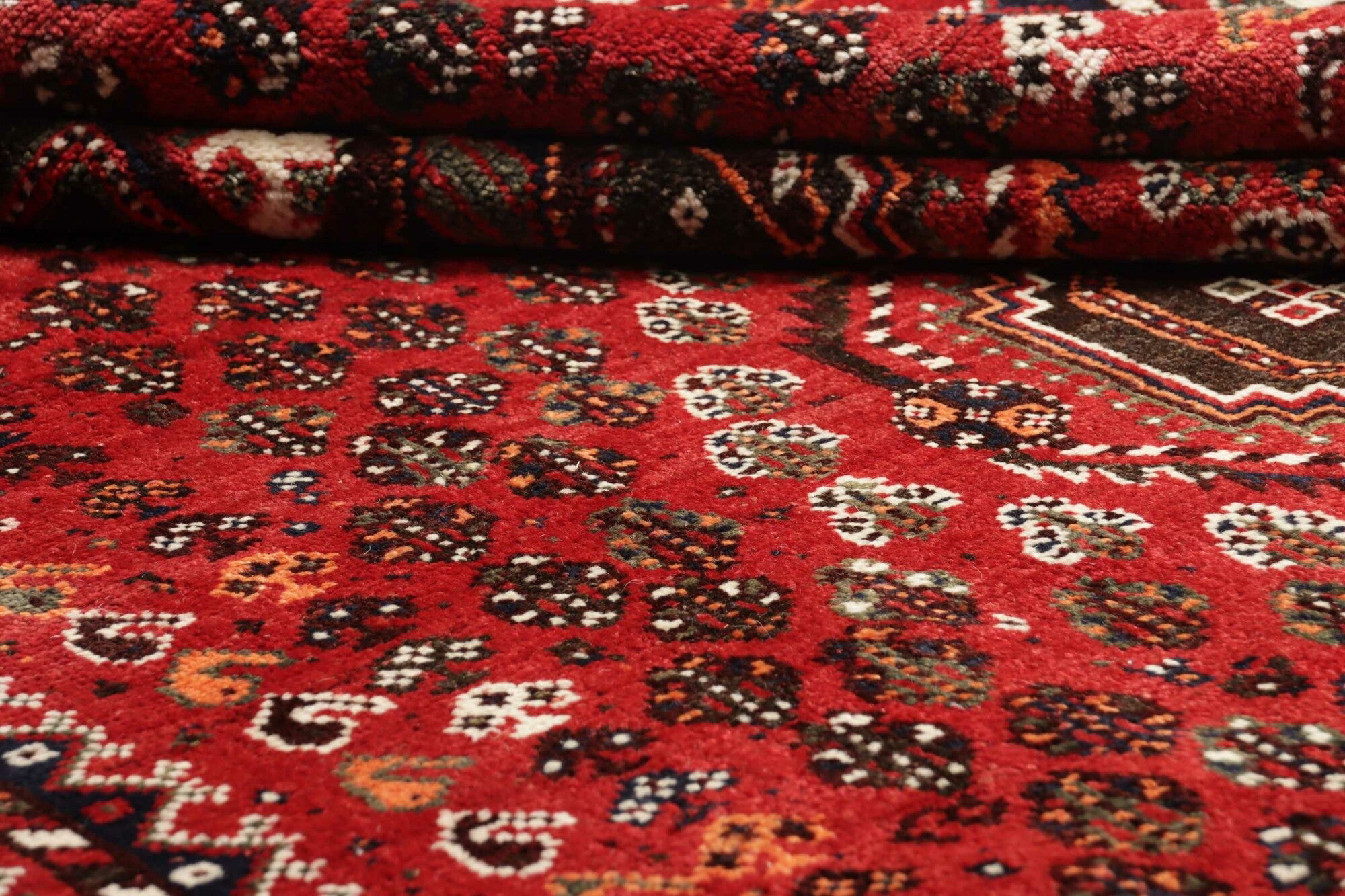 Shiraz | 260 x 172 cm | Nr. 12-363959