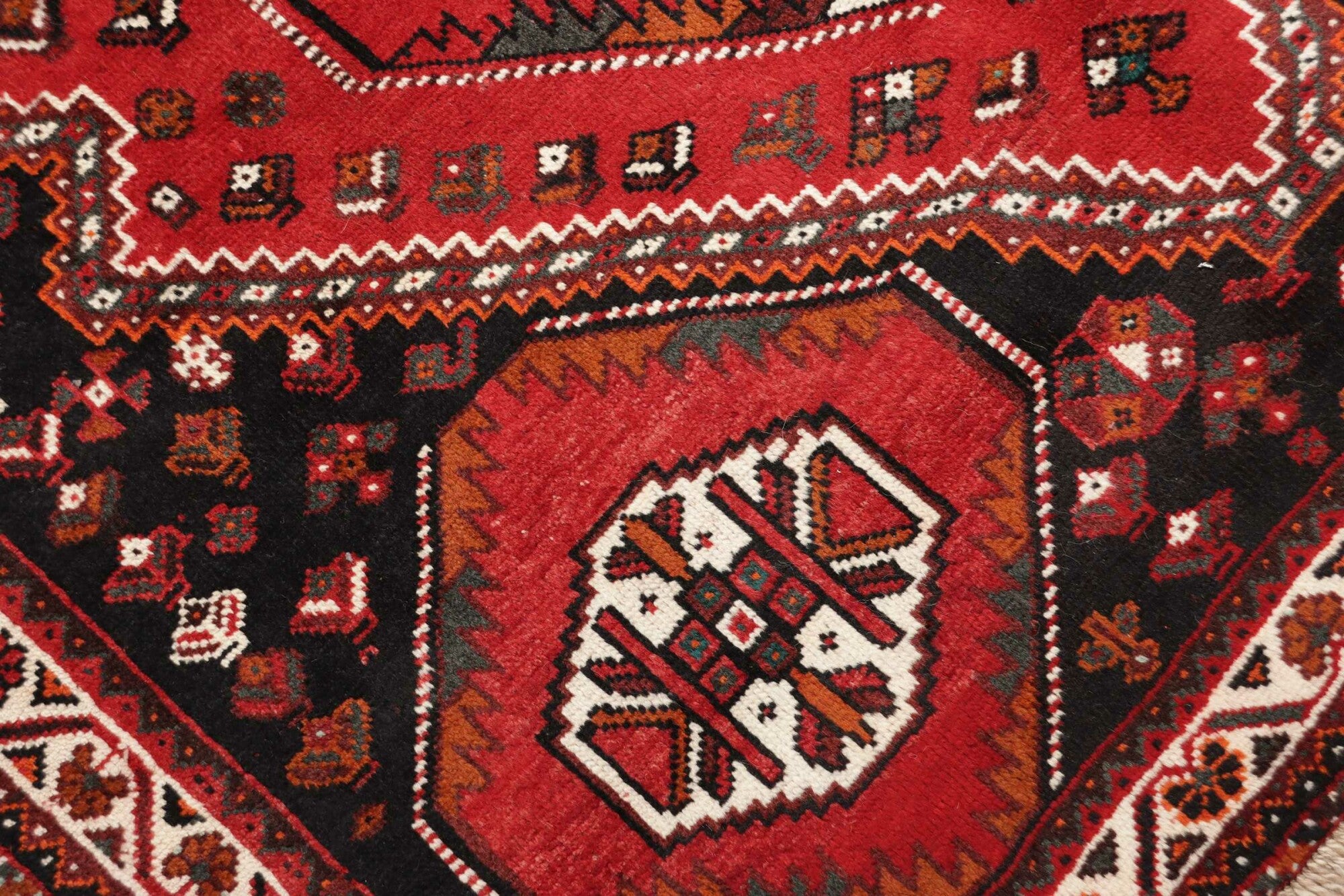 Shiraz | 260 x 172 cm | Nr. 12-363959