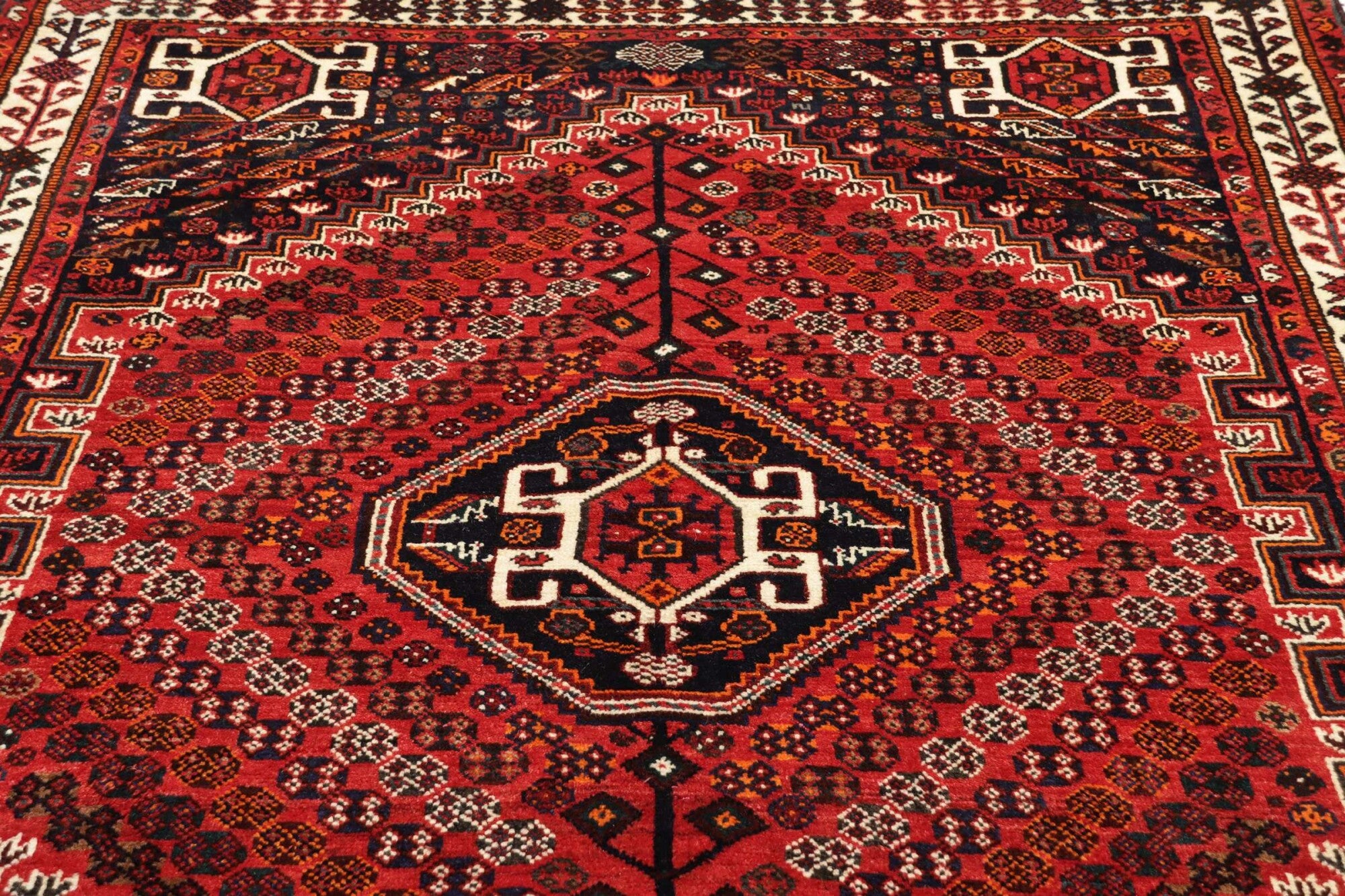 Shiraz | 254 cm x 170 cm | Nr. 12-431480