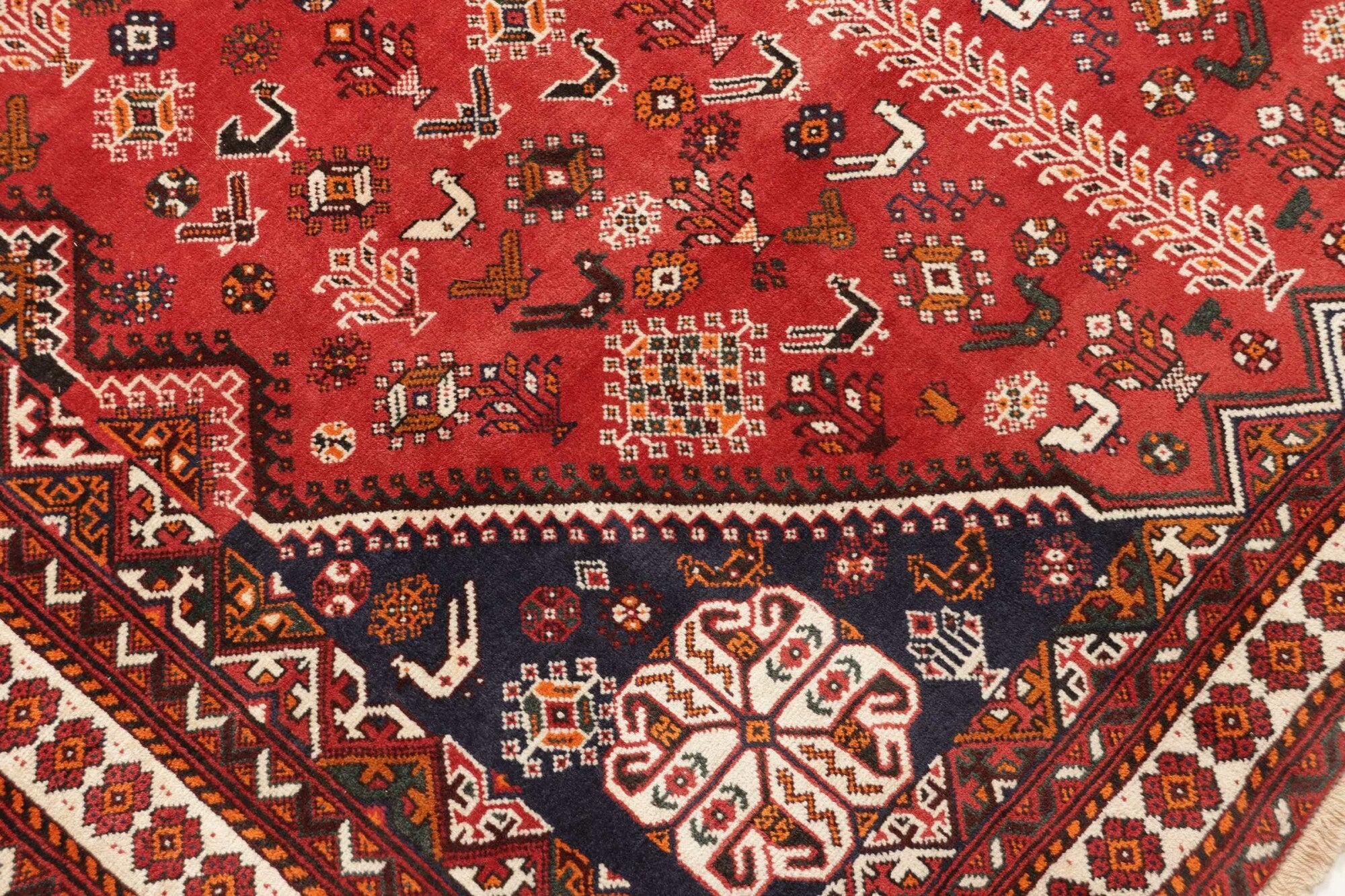 Shiraz | 315 cm x 208 cm | Nr. 12-431652