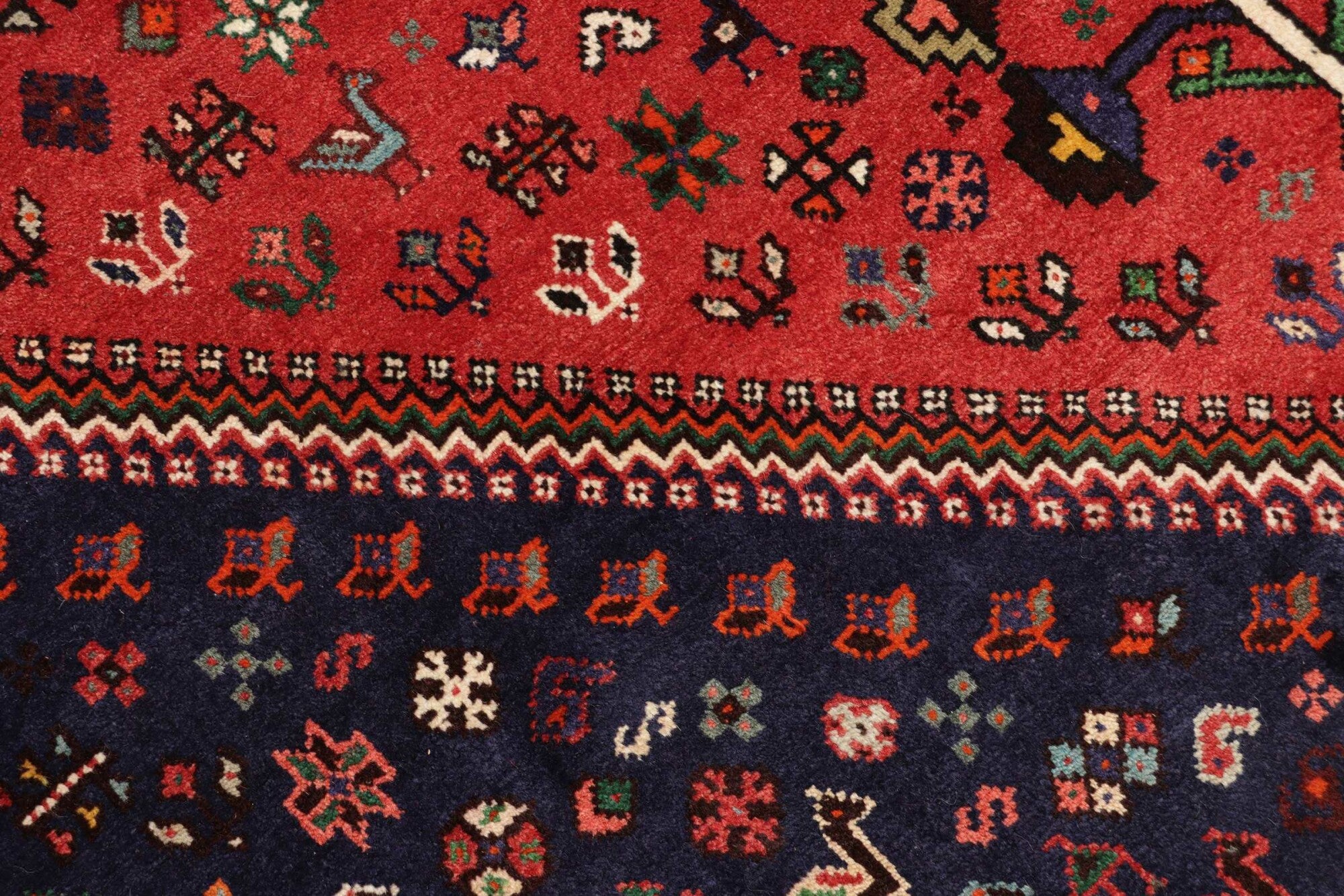Shiraz | 220 cm x 162 cm | Nr. 12-431675