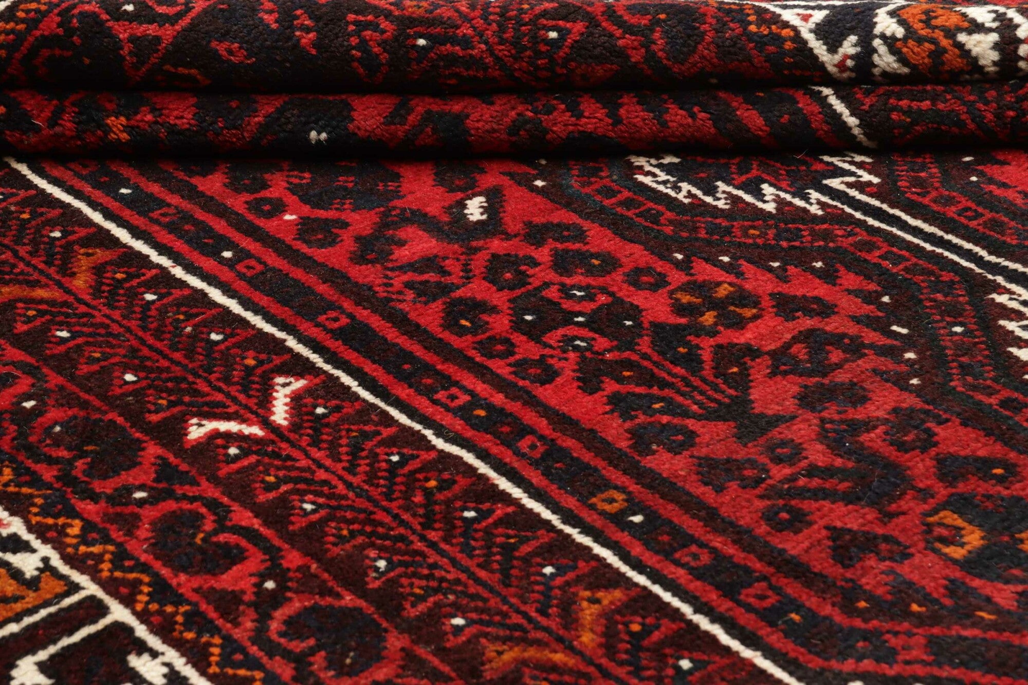 Shiraz | 240 cm x 170 cm | Nr. 12-447085