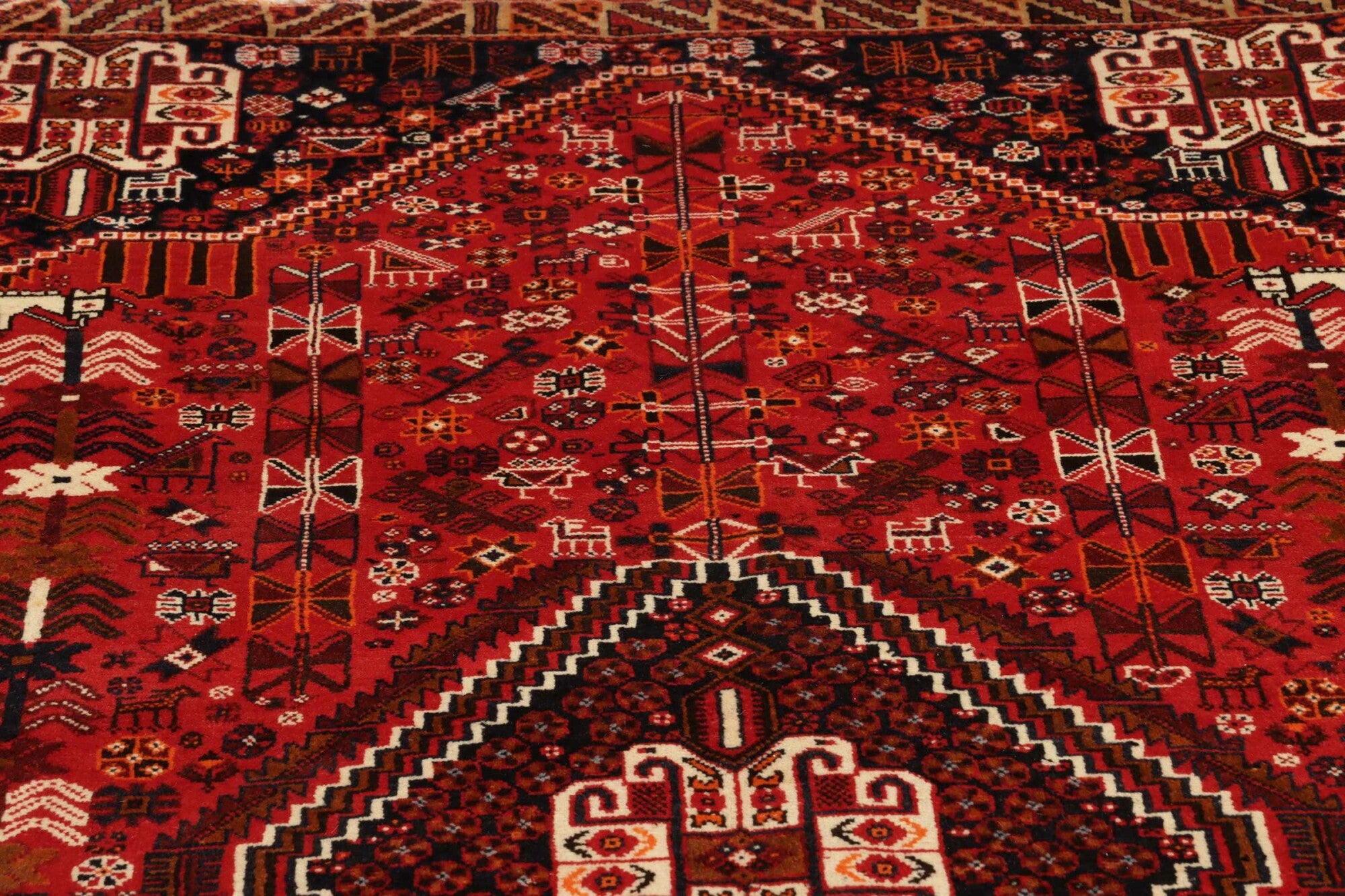 Shiraz | 257 cm x 158 cm | Nr. 12-455168