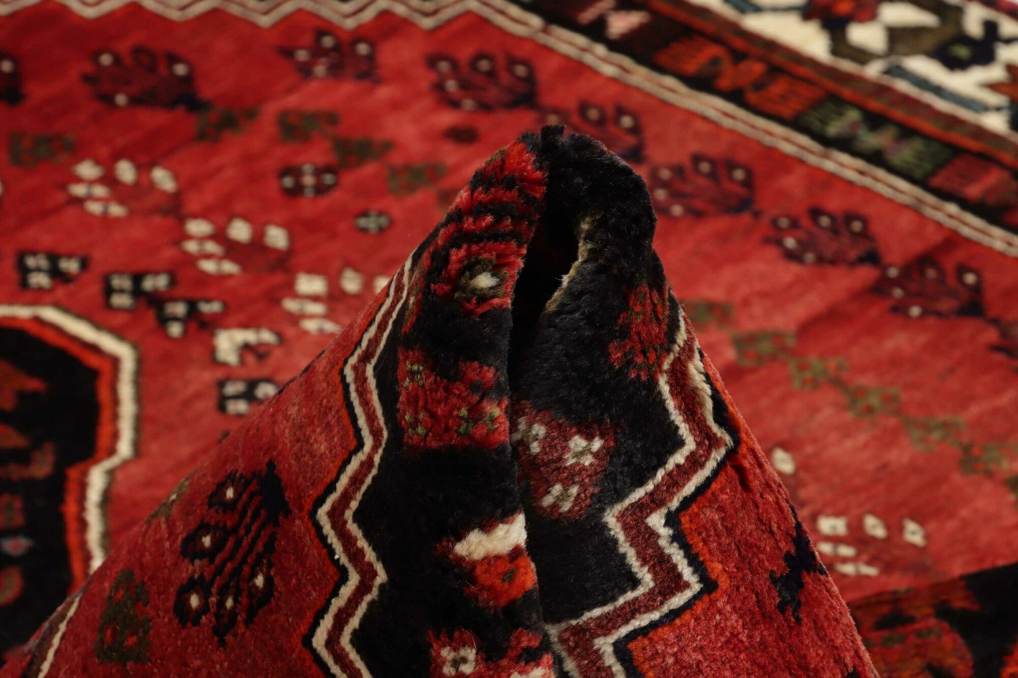 Shiraz | 253 cm x 163 cm | Nr. 12-455181