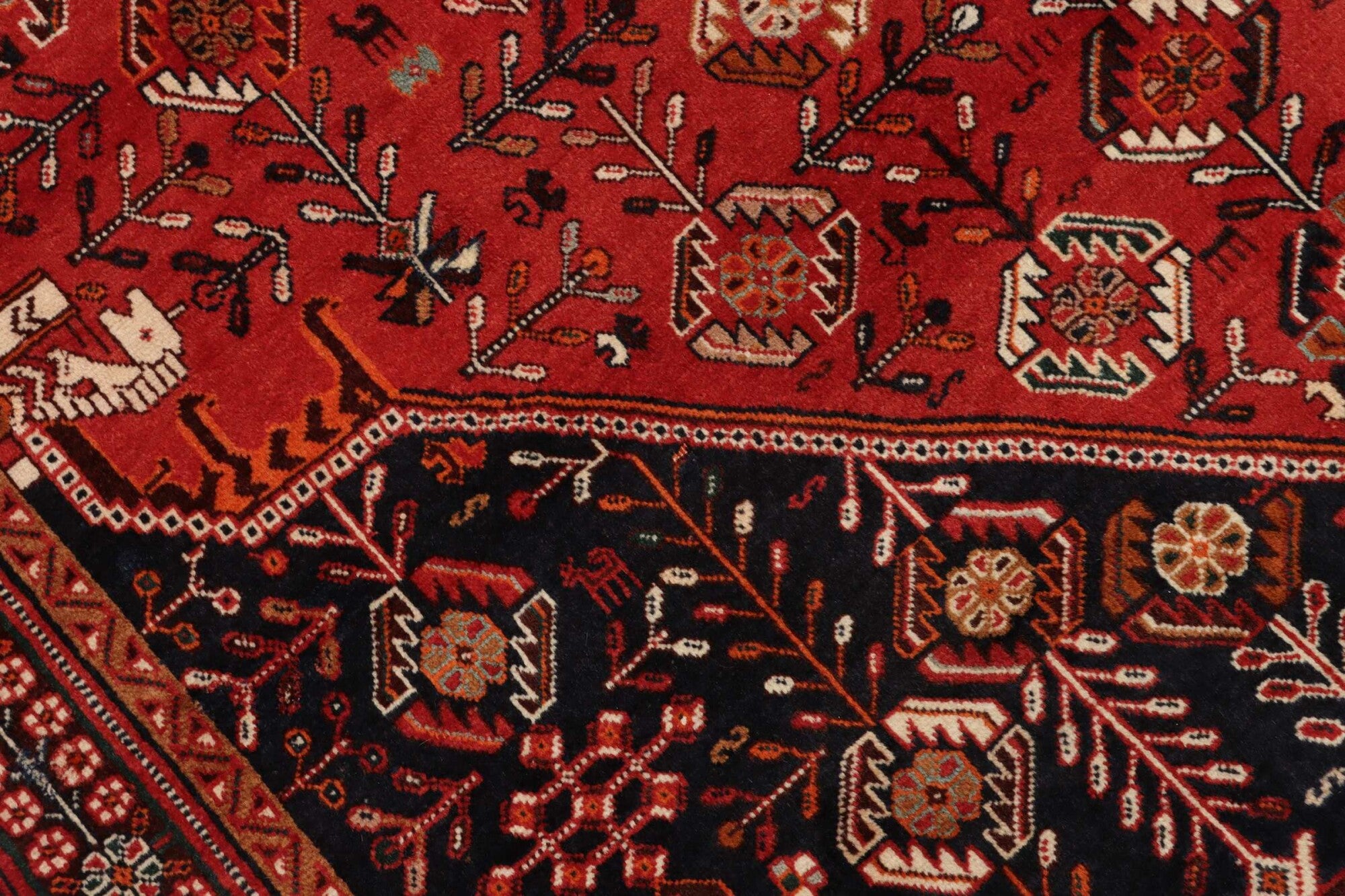 Shiraz | 255 x 160 cm | Nr. 12-455187