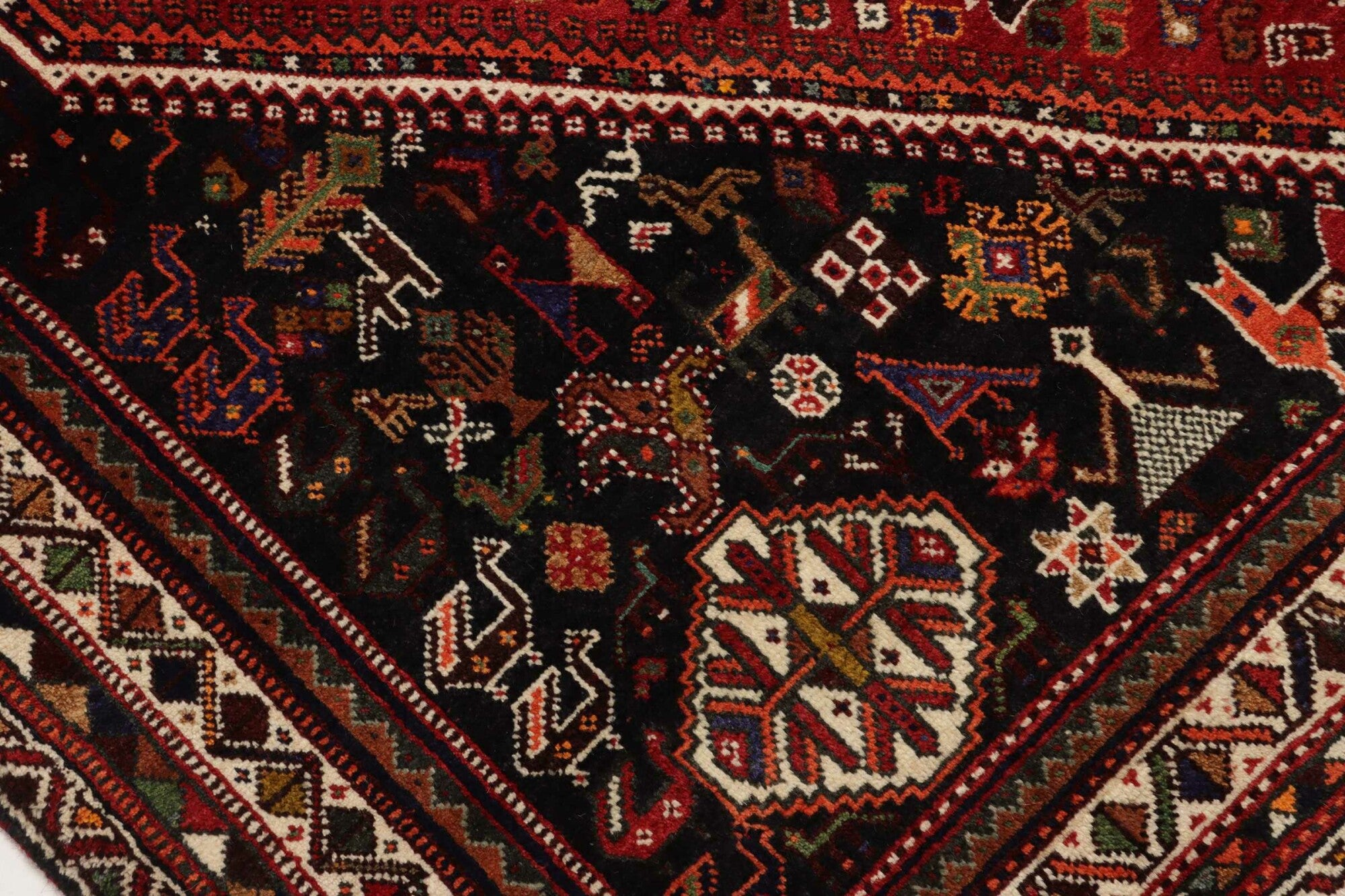 Shiraz | 295 cm x 183 cm | Nr. 12-455192