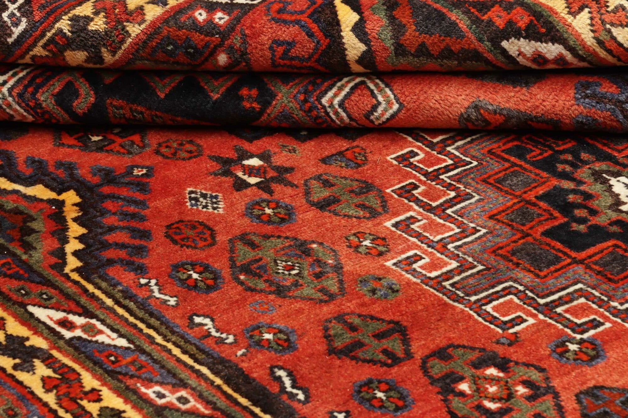 Shiraz | 250 cm x 160 cm | Nr. 12-455648