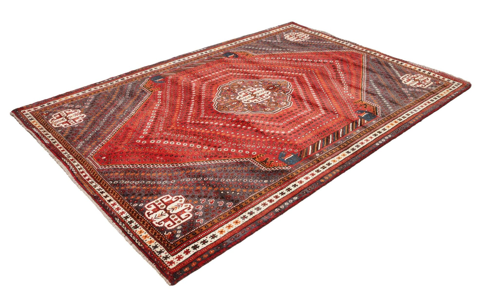 Shiraz | 260 cm x 180 cm | Nr. 12-455649