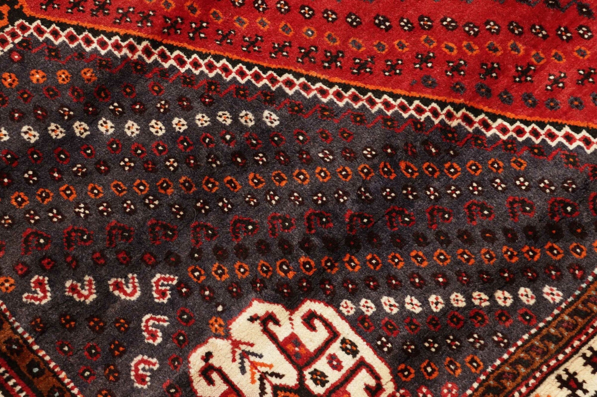 Shiraz | 260 cm x 180 cm | Nr. 12-455649