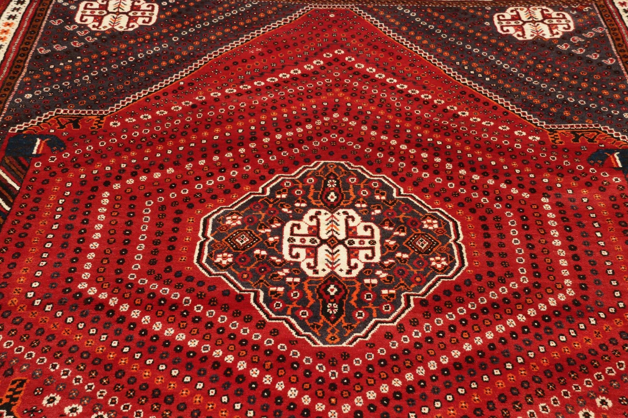 Shiraz | 260 cm x 180 cm | Nr. 12-455649