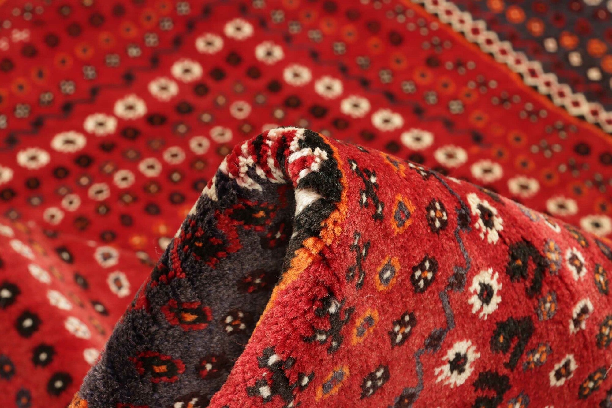 Shiraz | 260 cm x 180 cm | Nr. 12-455649