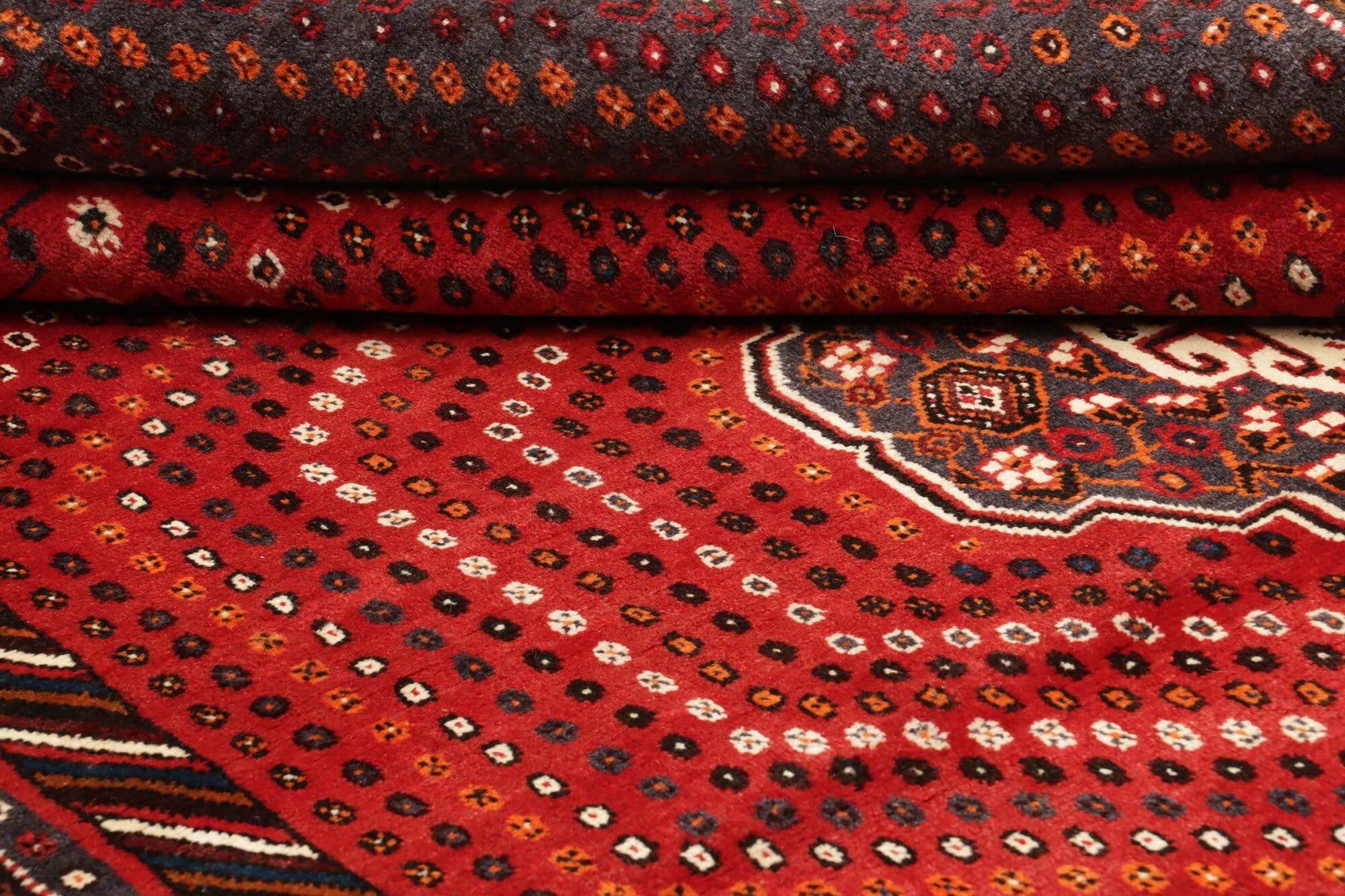 Shiraz | 260 cm x 180 cm | Nr. 12-455649