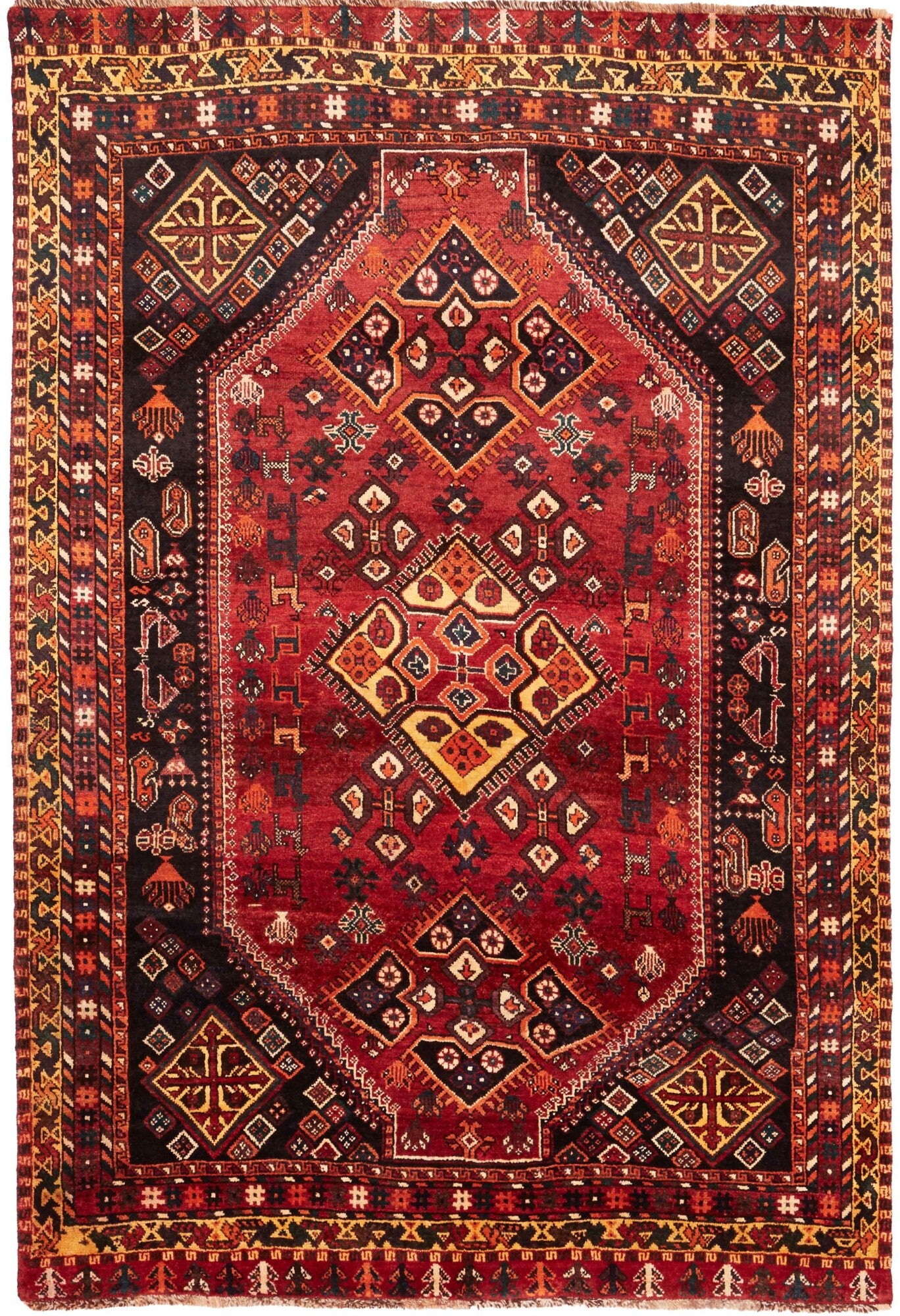 Shiraz | 245 cm x 165 cm | Nr. 12-455651