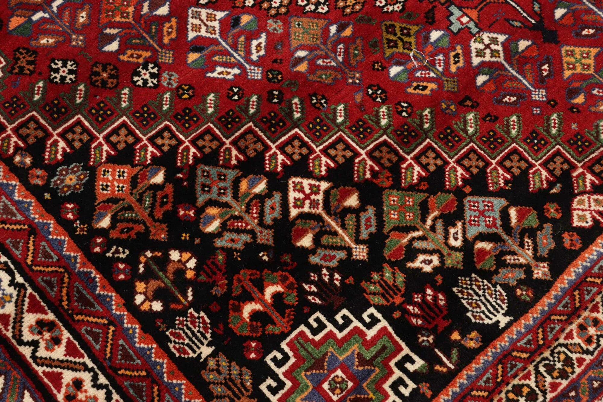 Shiraz | 280 cm x 185 cm | Nr. 12-455655