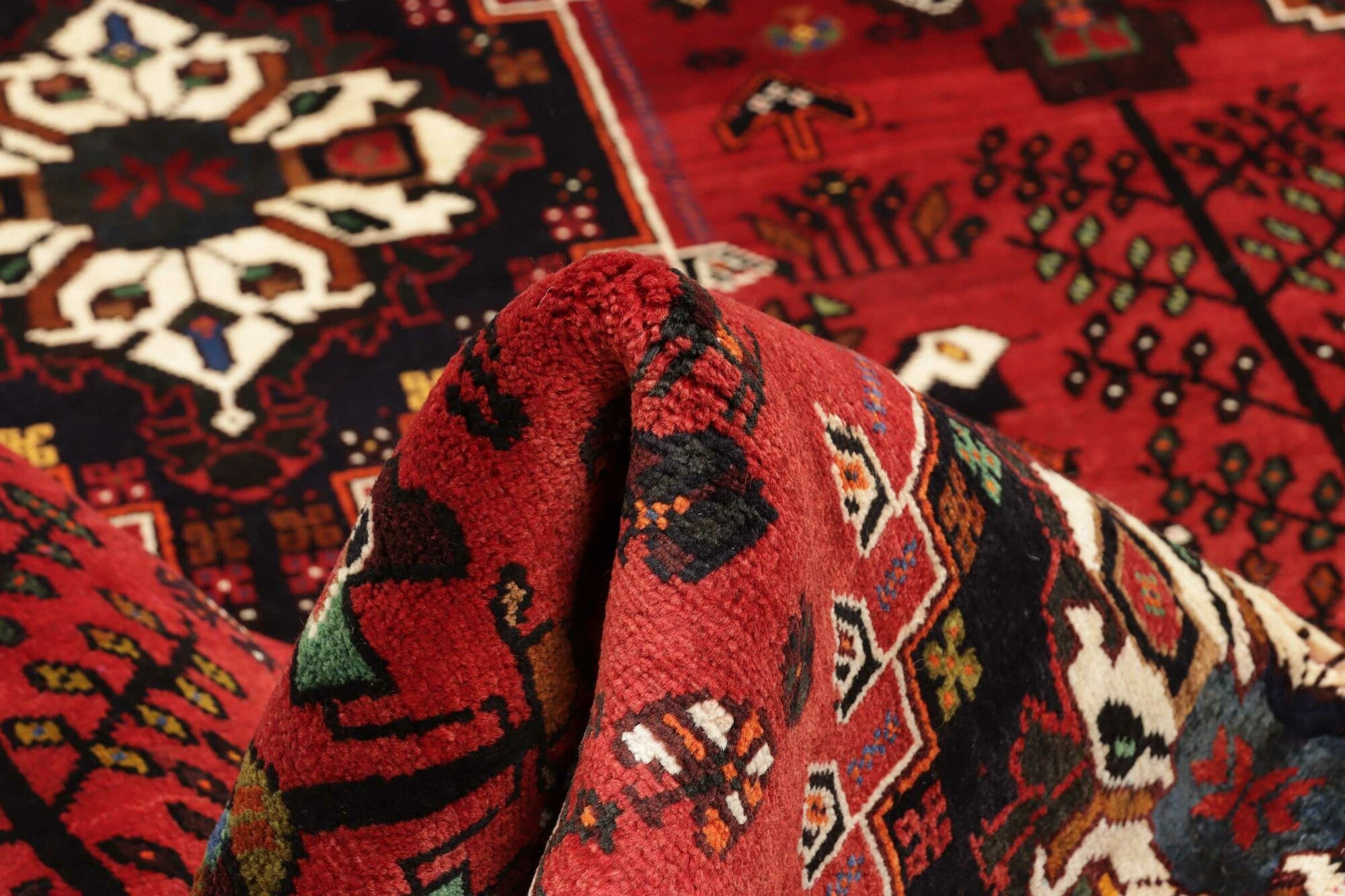 Shiraz | 259 cm x 173 cm | Nr. 12-455656