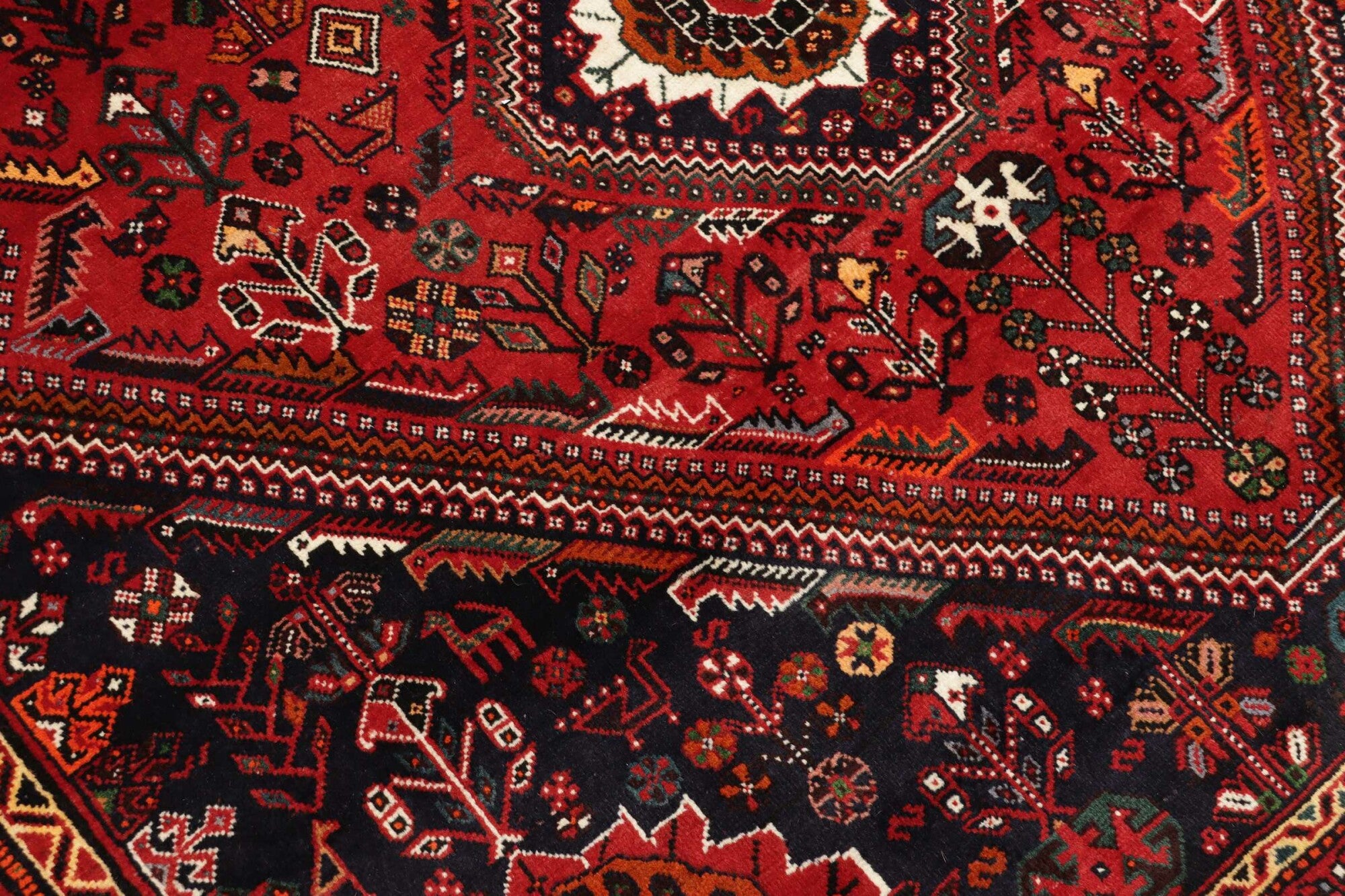 Shiraz | 273 x 168 cm | Nr. 12-455660