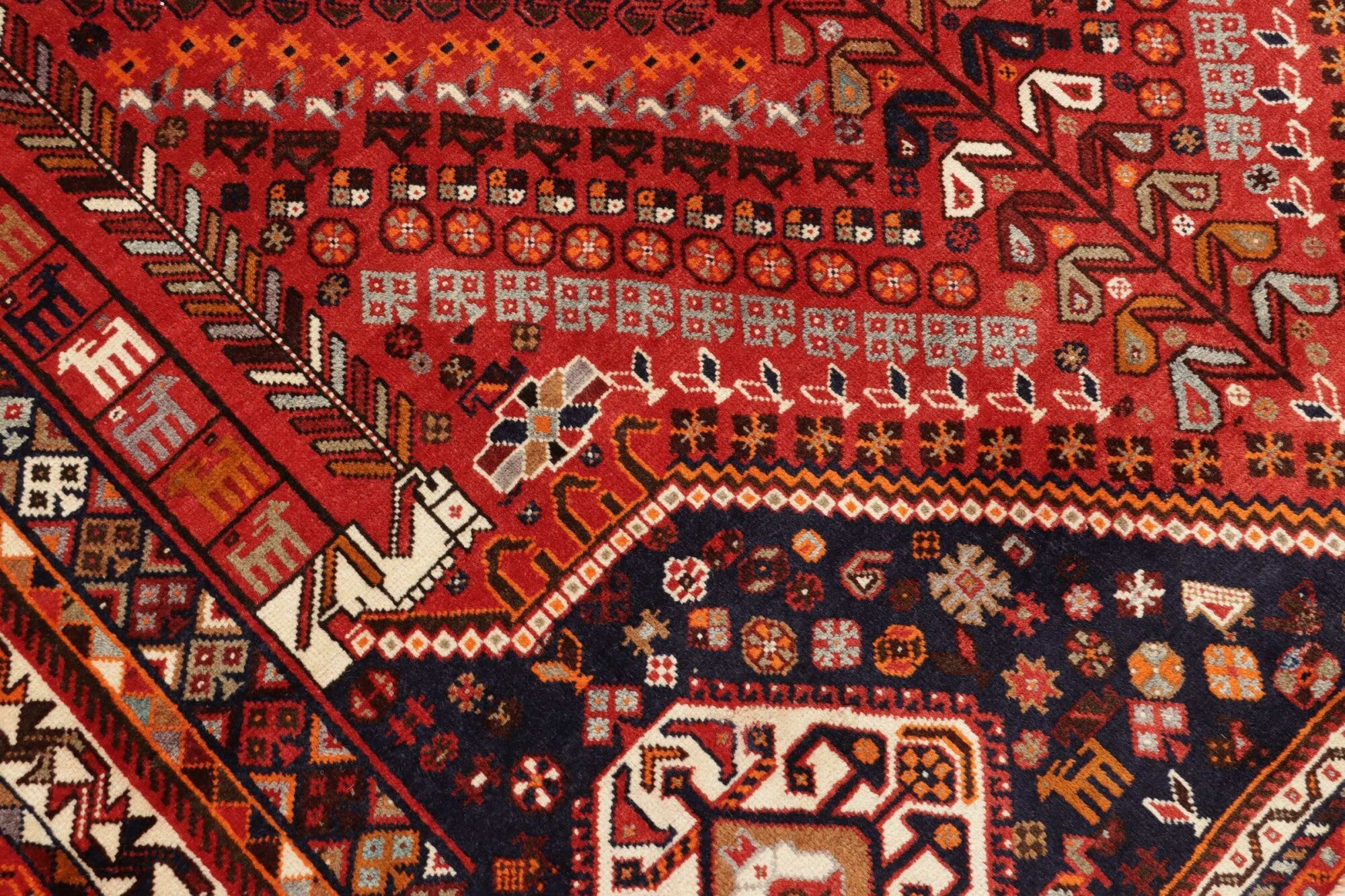 Shiraz | 295 x 180 cm | Nr. 12-455662