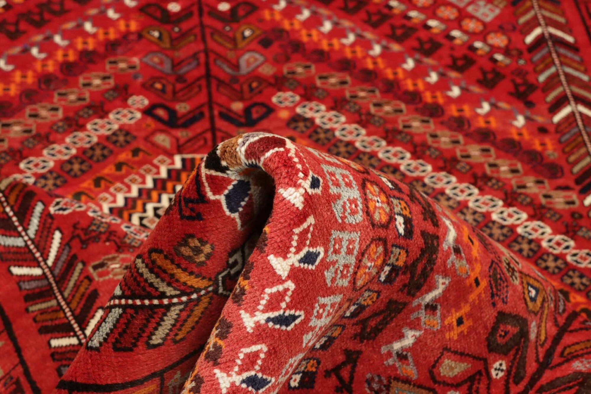 Shiraz | 295 x 180 cm | Nr. 12-455662