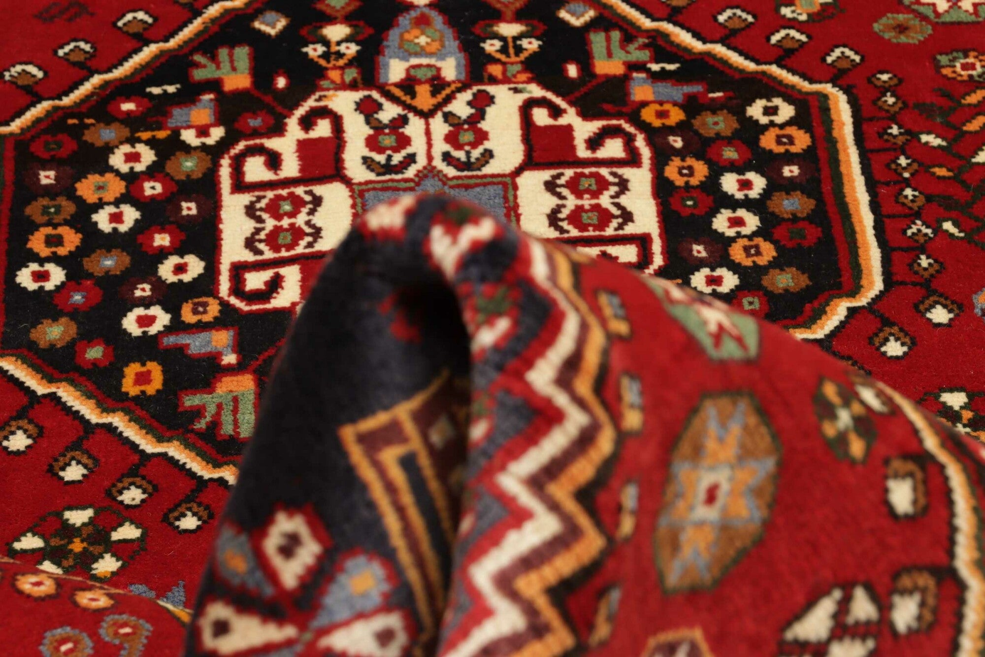 Shiraz | 290 cm x 188 cm | Nr. 12-455667