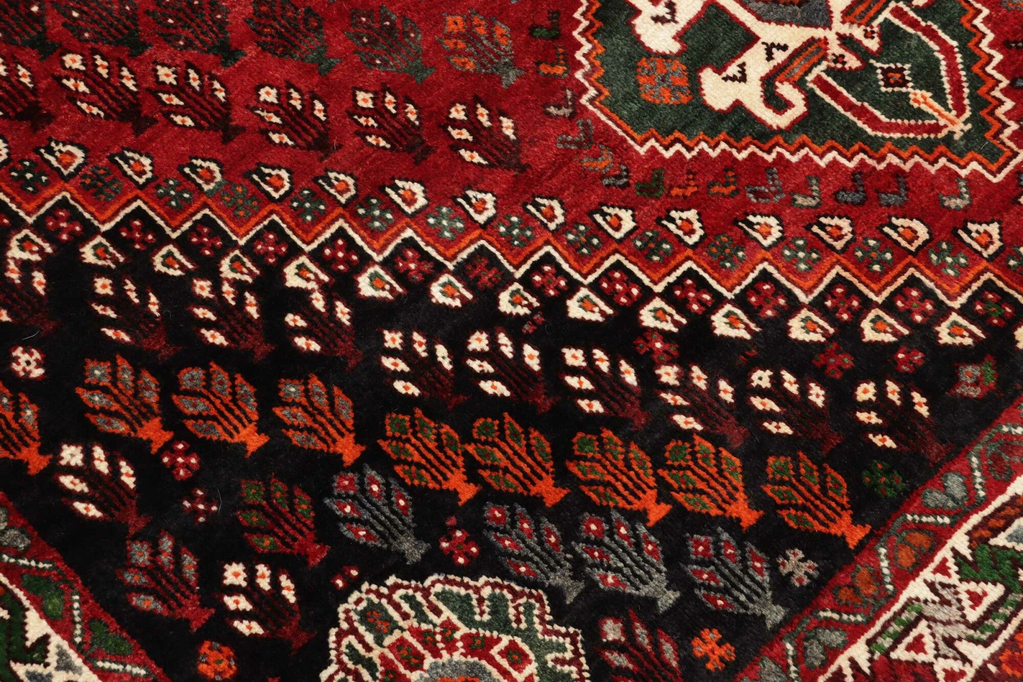 Shiraz | 273 cm x 167 cm | Nr. 12-455672