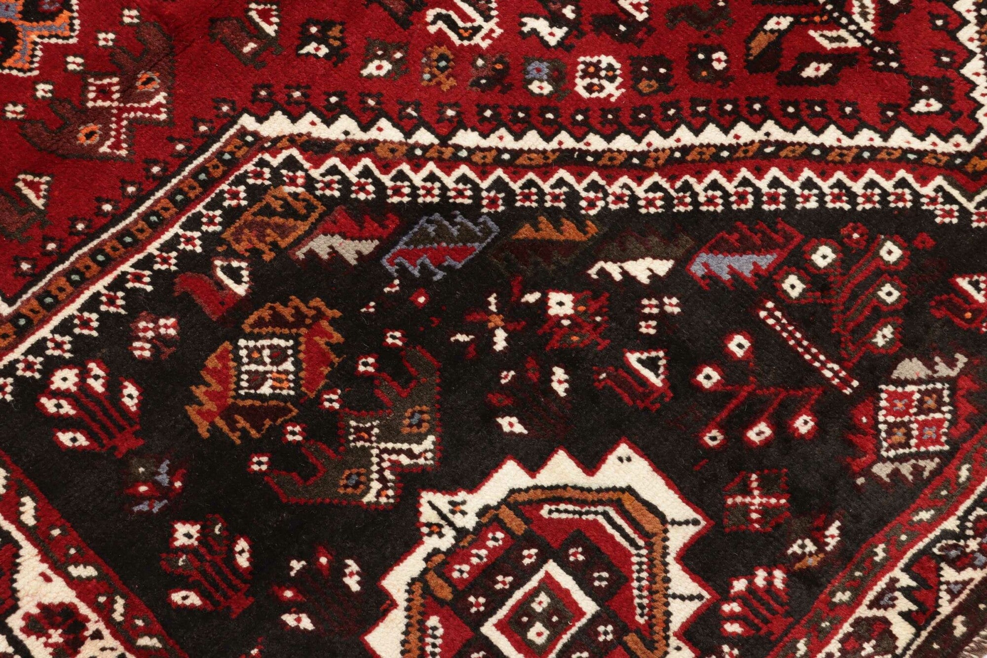 Shiraz | 261 x 167 cm | Nr. 12-455677