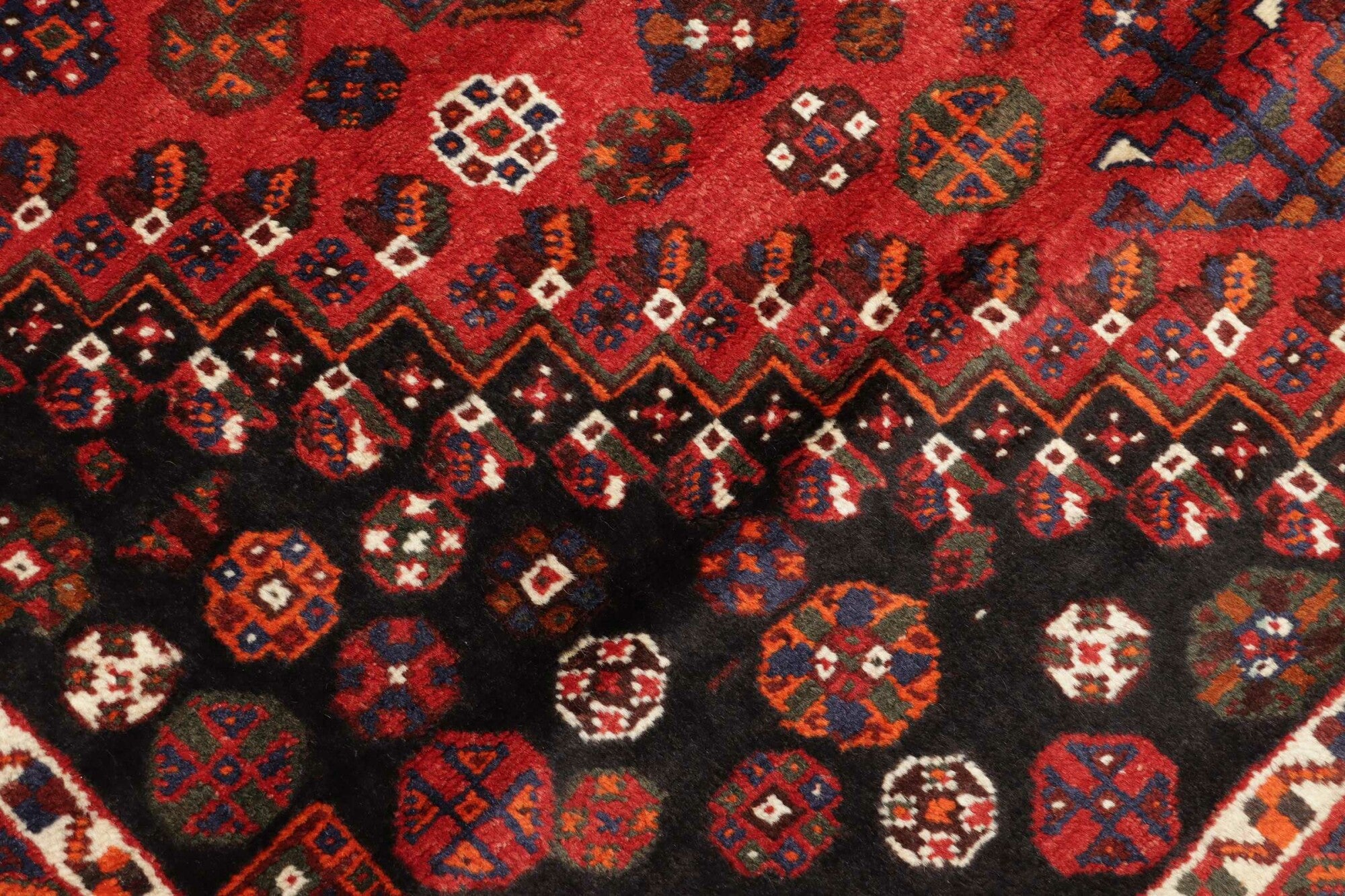 Shiraz | 257 cm x 165 cm | Nr. 12-455679