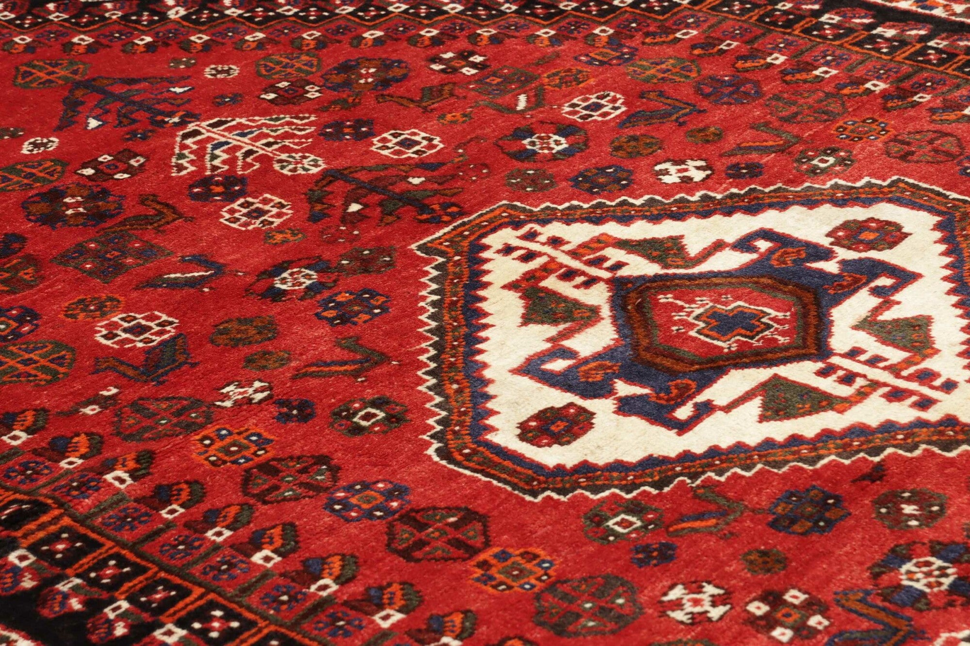 Shiraz | 257 cm x 165 cm | Nr. 12-455679