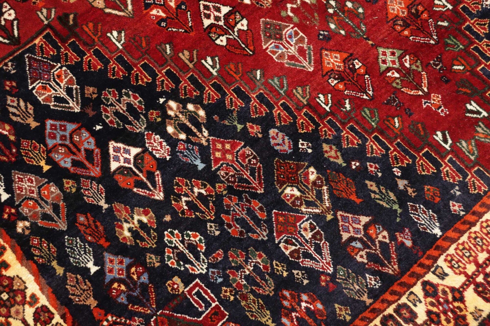 Shiraz | 238 cm x 162 cm | Nr. 12-455684