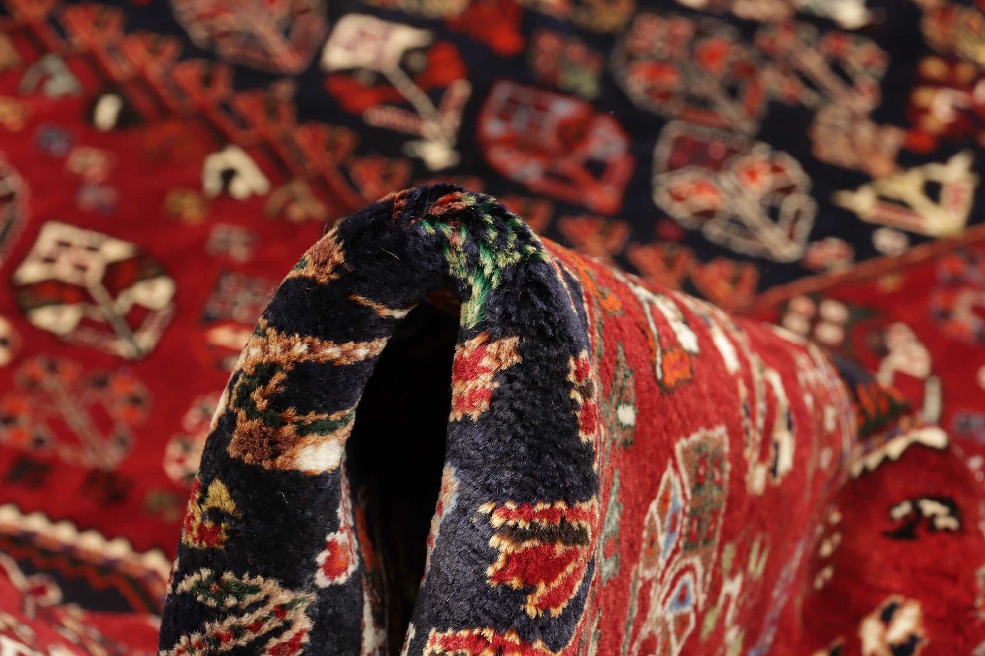 Shiraz | 238 cm x 162 cm | Nr. 12-455684