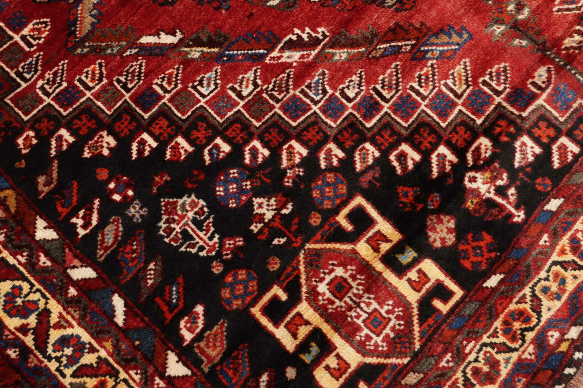 Shiraz | 270 cm x 177 cm | Nr. 12-455688