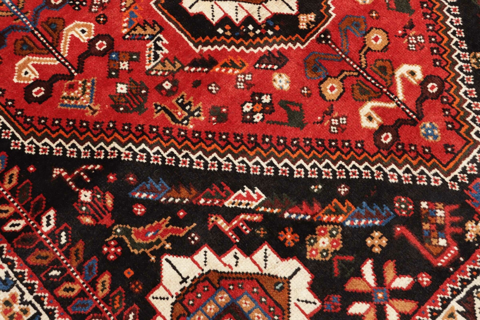 Shiraz | 260 cm x 168 cm | Nr. 12-455689