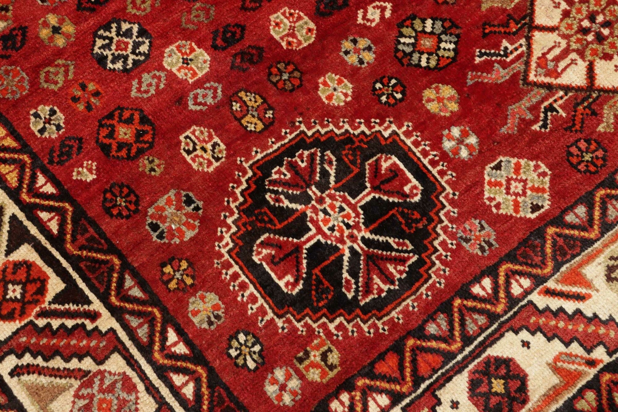 Shiraz | 270 cm x 160 cm | Nr. 12-455693