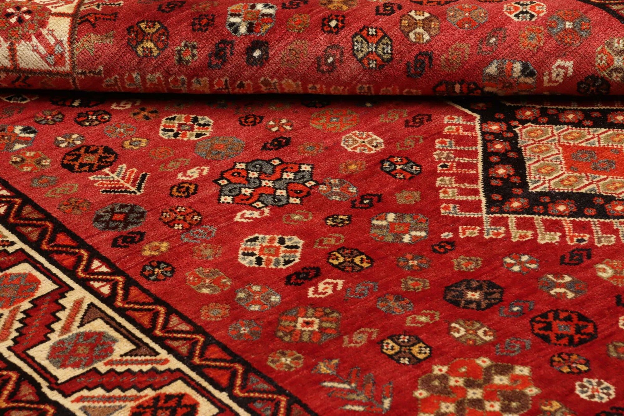 Shiraz | 270 cm x 160 cm | Nr. 12-455693