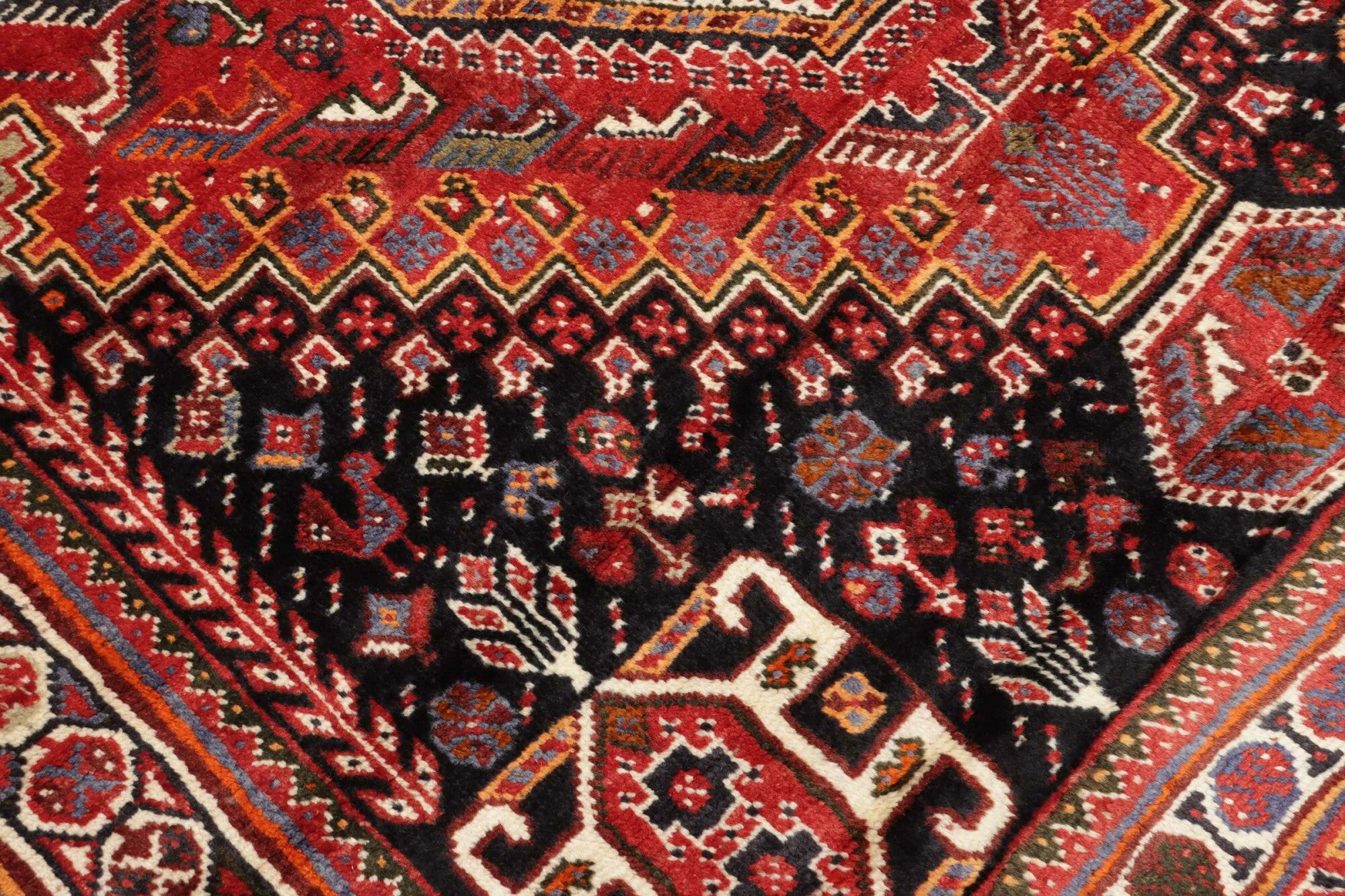 Shiraz | 260 cm x 170 cm | Nr. 12-455694