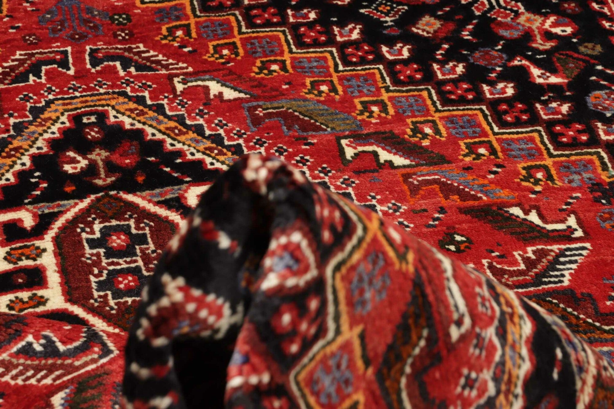 Shiraz | 260 cm x 170 cm | Nr. 12-455694