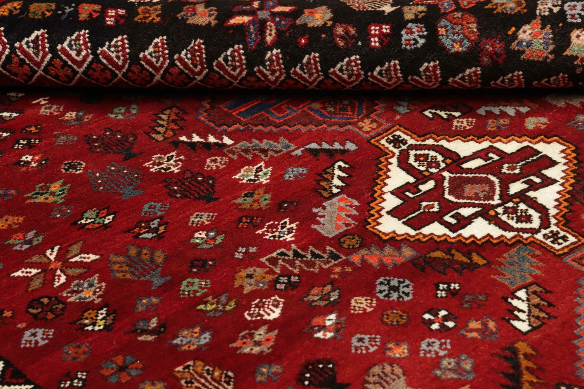 Shiraz | 250 cm x 175 cm | Nr. 12-455695