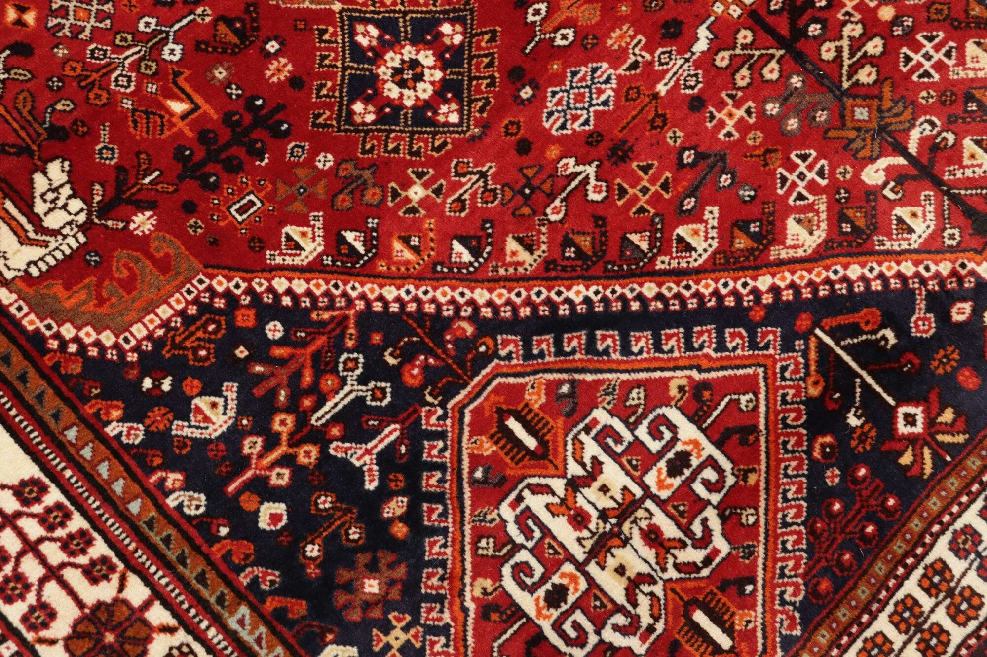 Shiraz | 258 cm x 160 cm | Nr. 12-455711