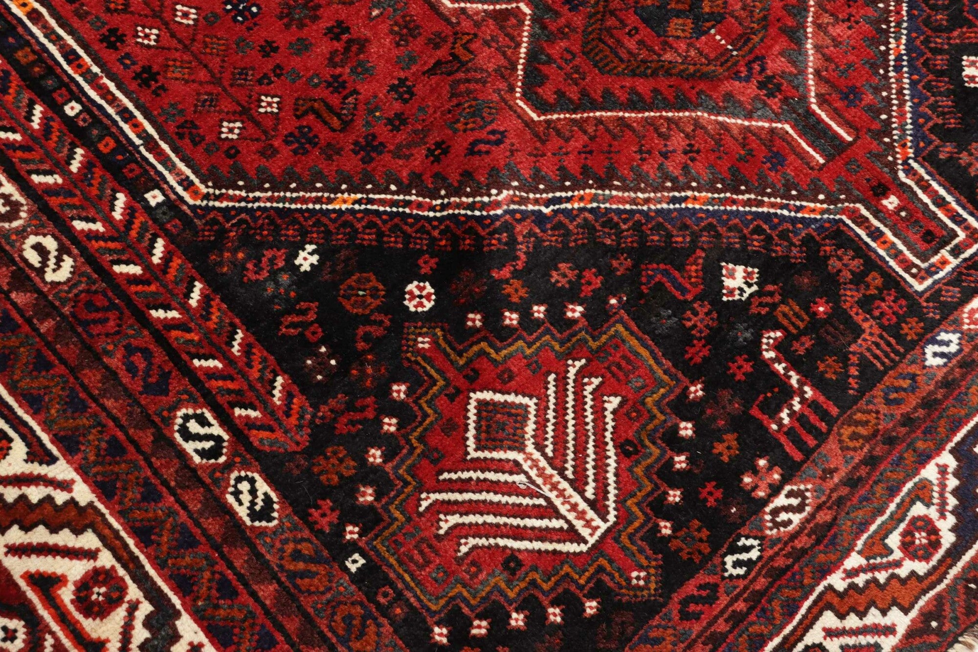 Shiraz | 262 cm x 169 cm | Nr. 12-455714