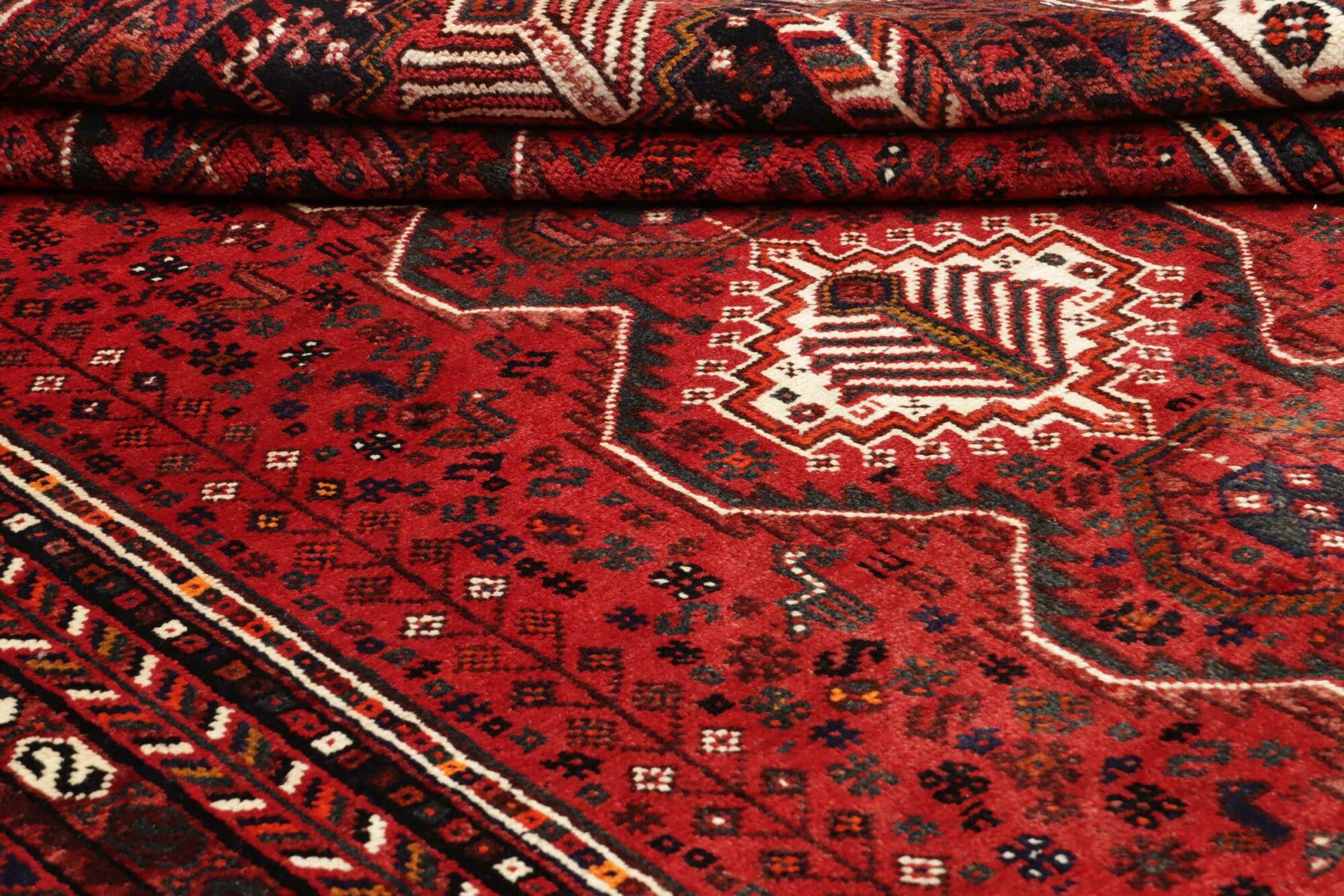 Shiraz | 262 cm x 169 cm | Nr. 12-455714