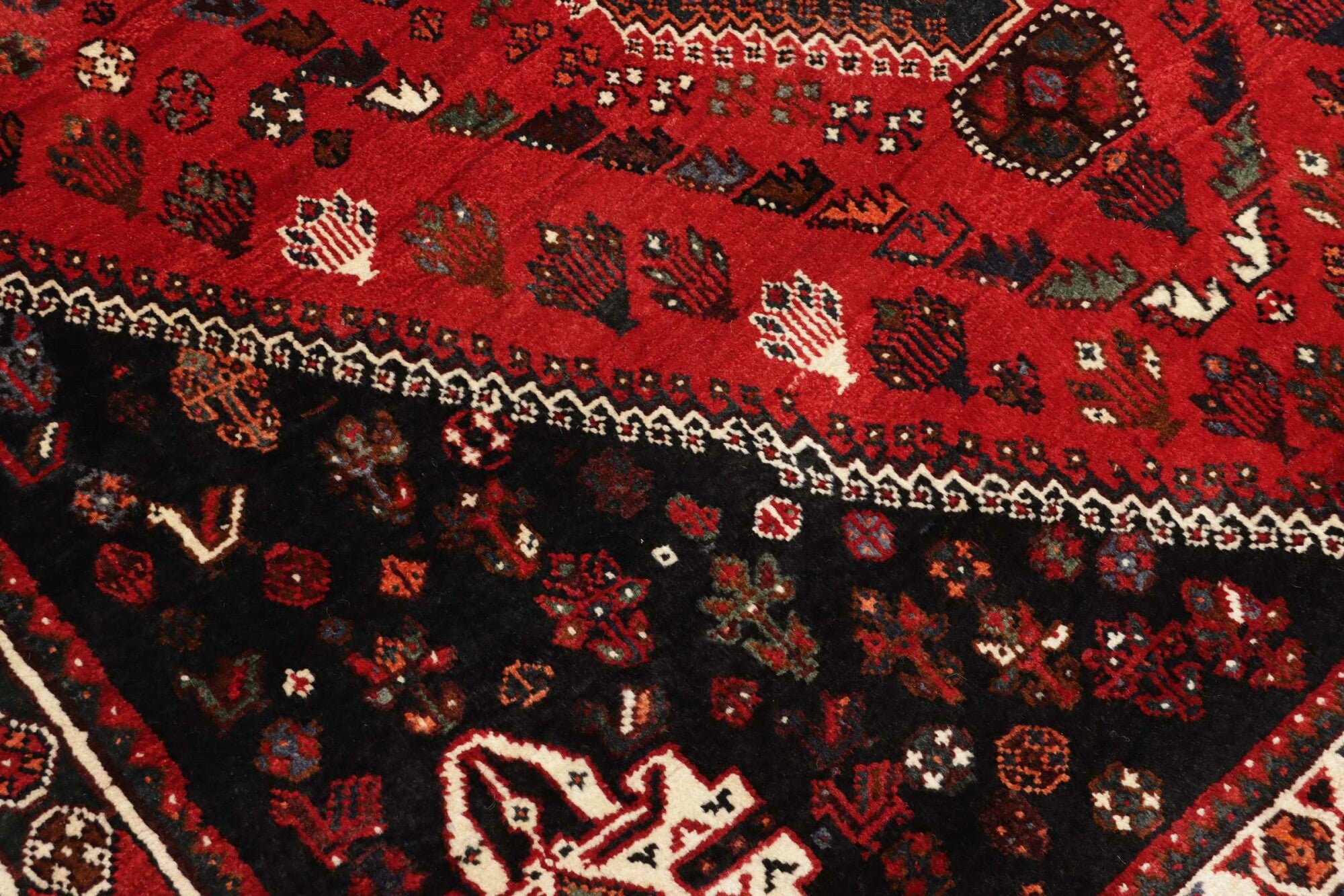 Chiraz | 275 x 163 cm | Nr. 12-455715