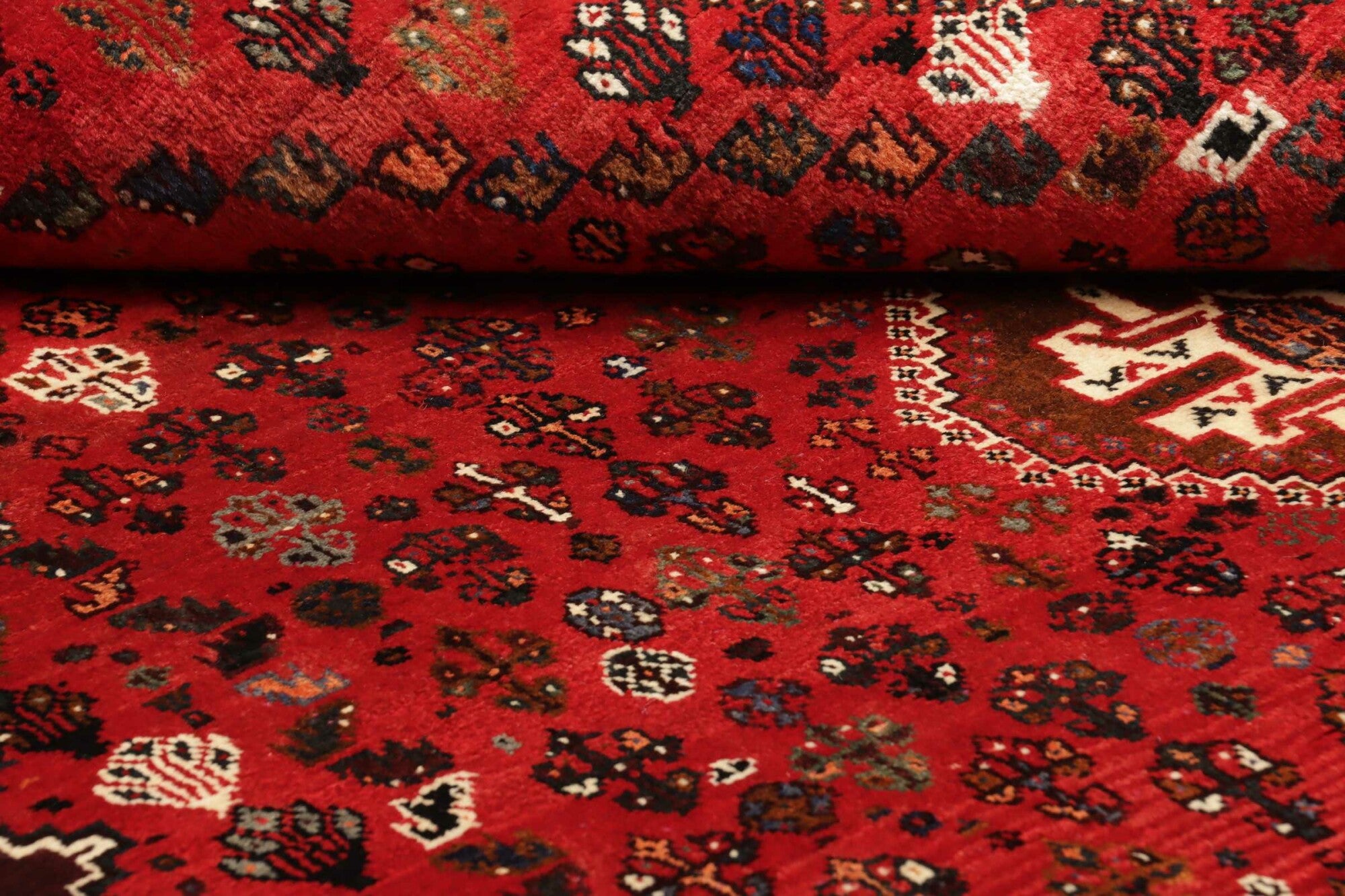 Chiraz | 275 x 163 cm | Nr. 12-455715