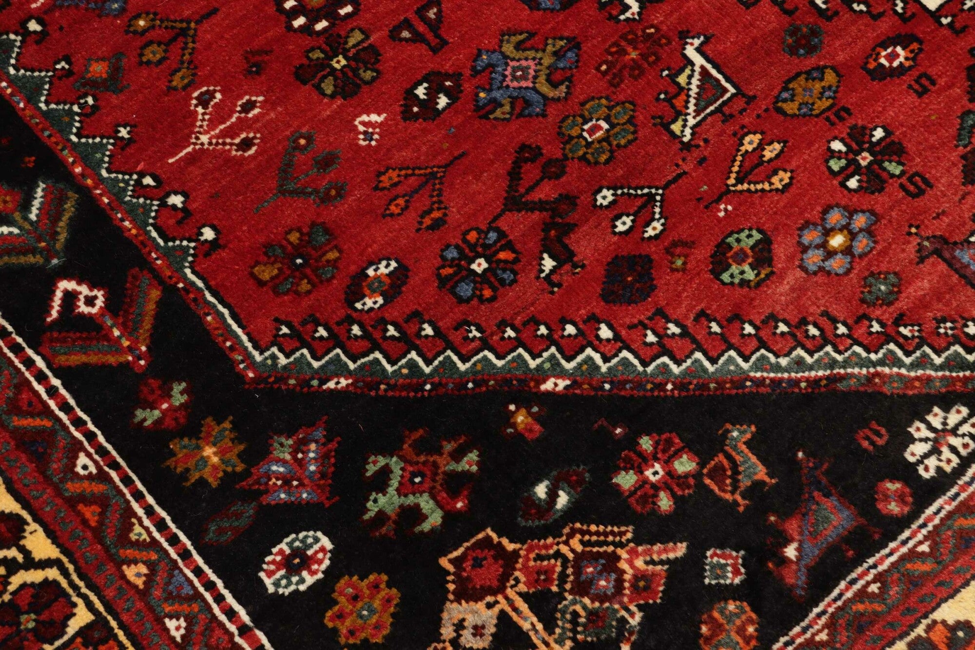 Shiraz | 250 x 177 cm | Nr. 12-455720