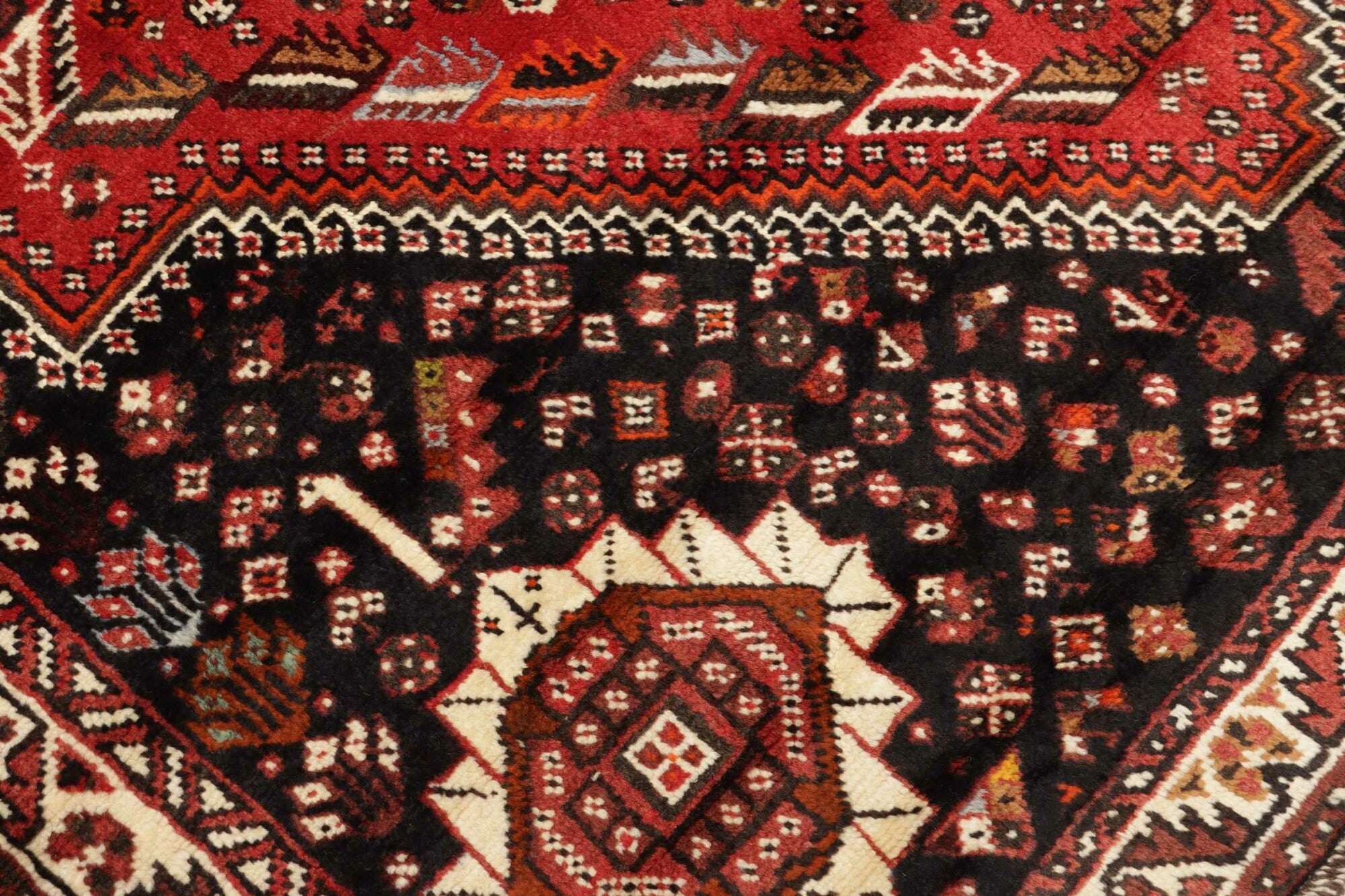 Shiraz | 260 cm x 173 cm | Nr. 12-455724