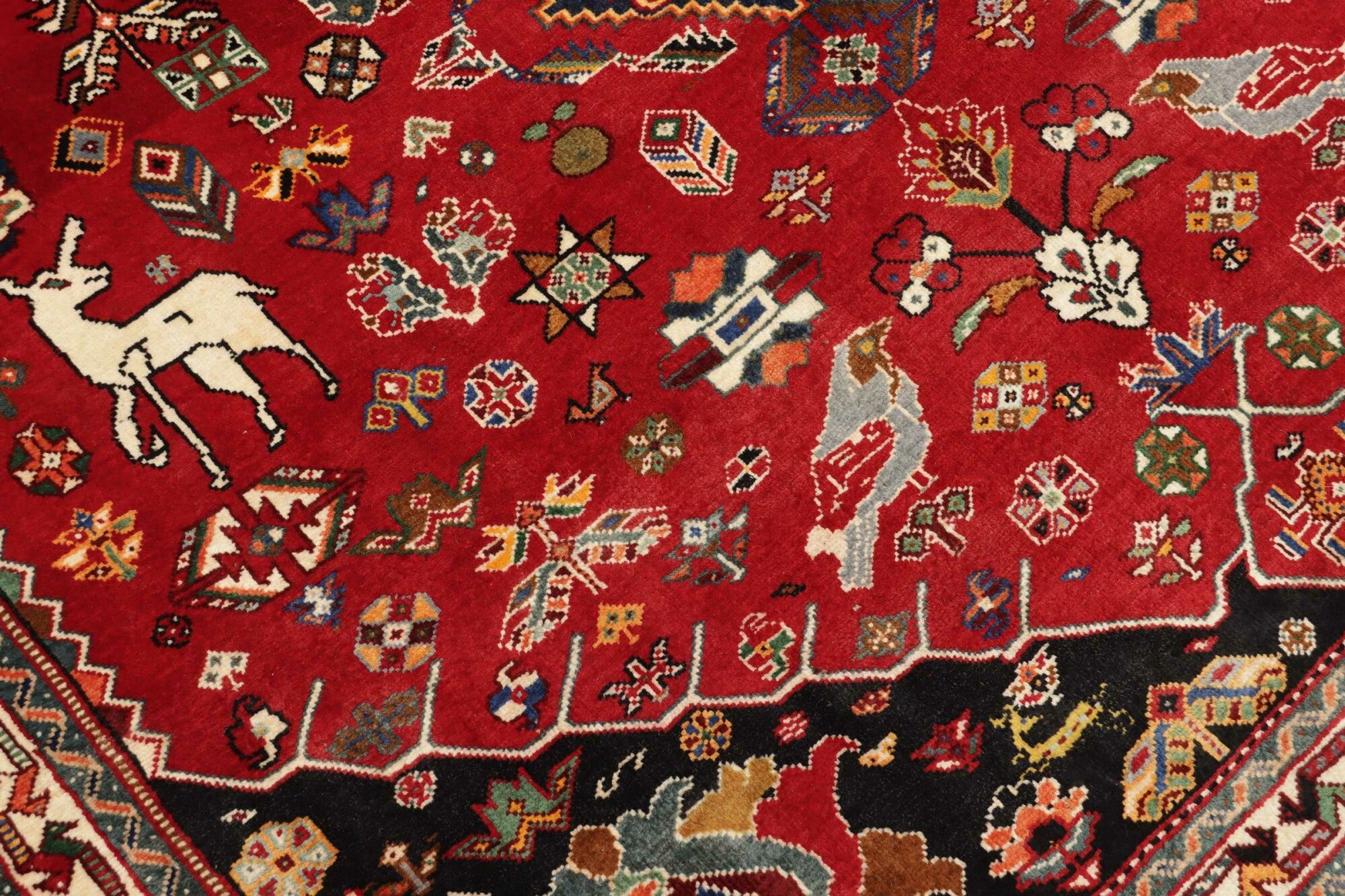 Shiraz | 282 cm x 173 cm | Nr. 12-455725