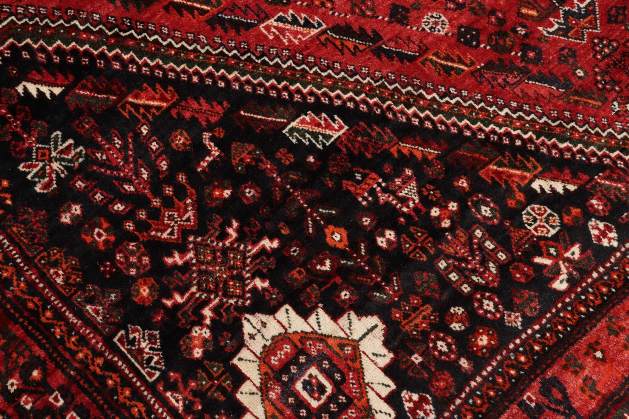 Shiraz | 260 cm x 175 cm | Nr. 12-459145