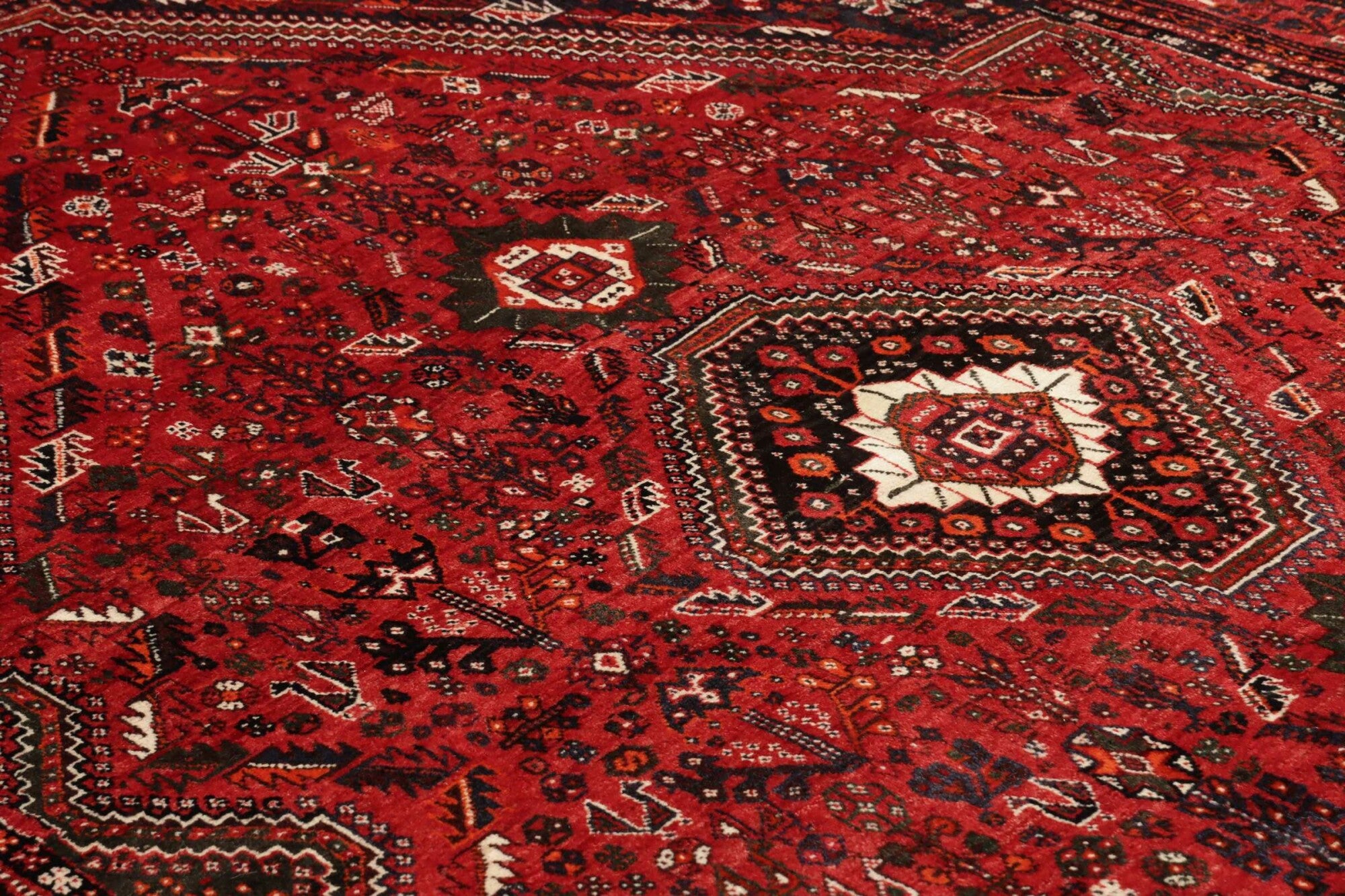 Shiraz | 260 cm x 175 cm | Nr. 12-459145