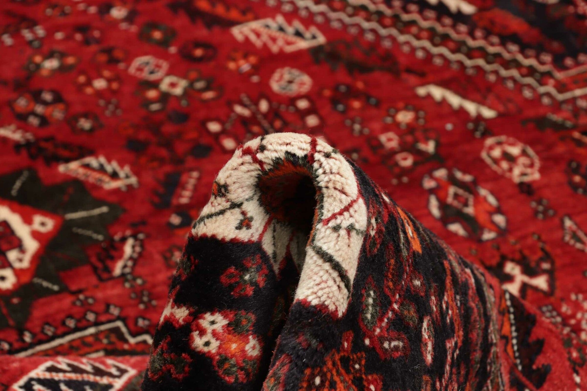 Shiraz | 260 cm x 175 cm | Nr. 12-459145