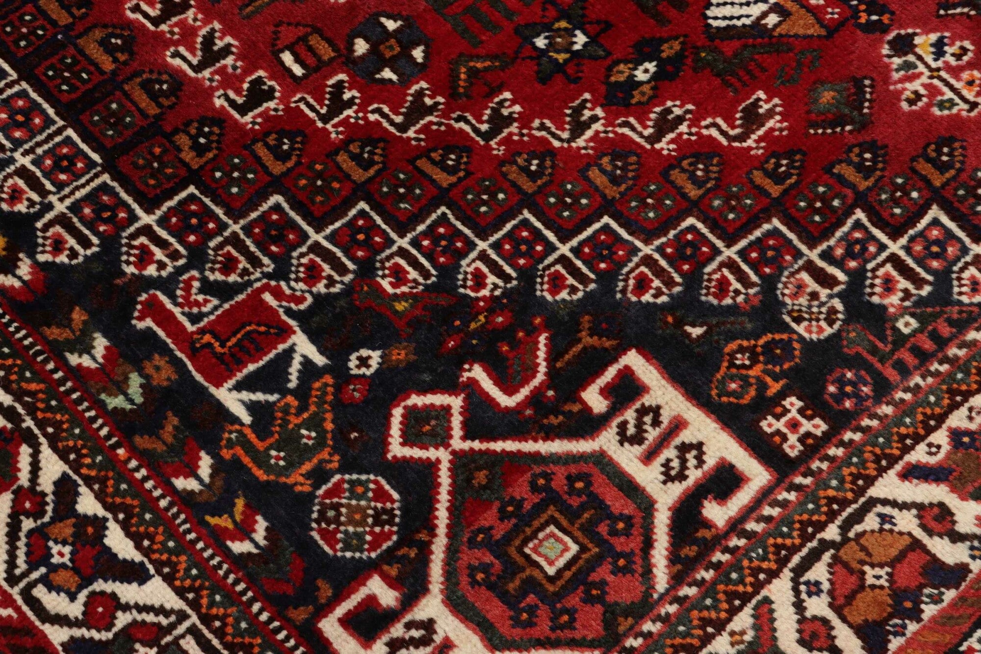 Shiraz | 253 x 160 cm | Nr. 12-459148